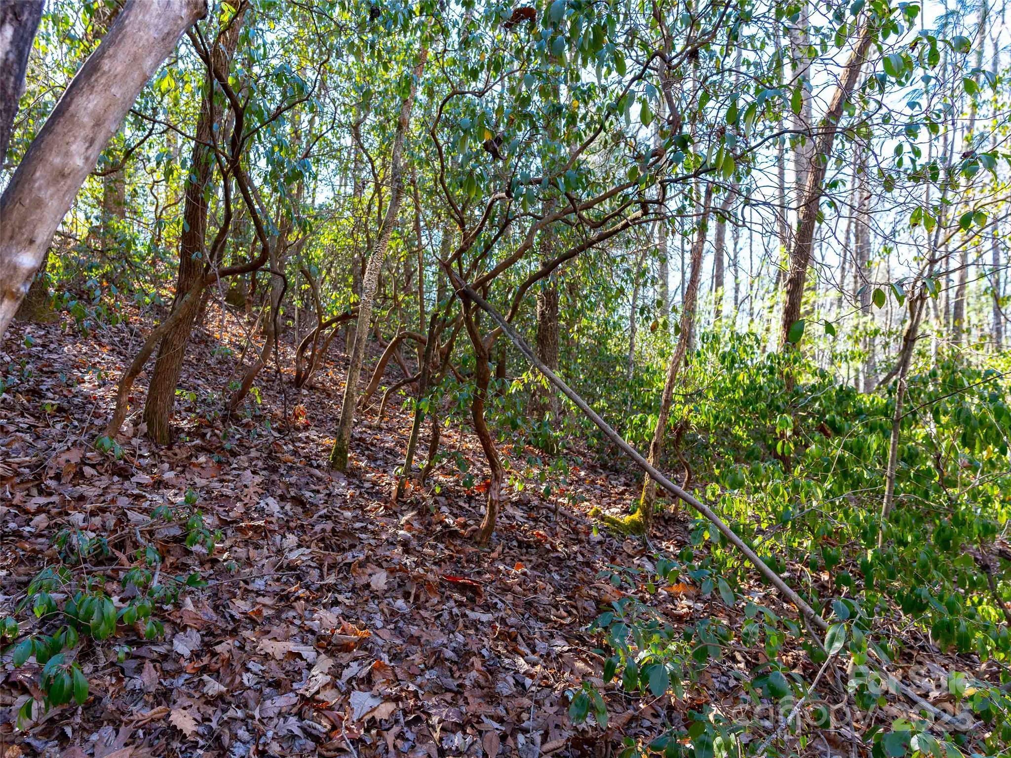 000 Chattooga Run 306 Property Photo 13