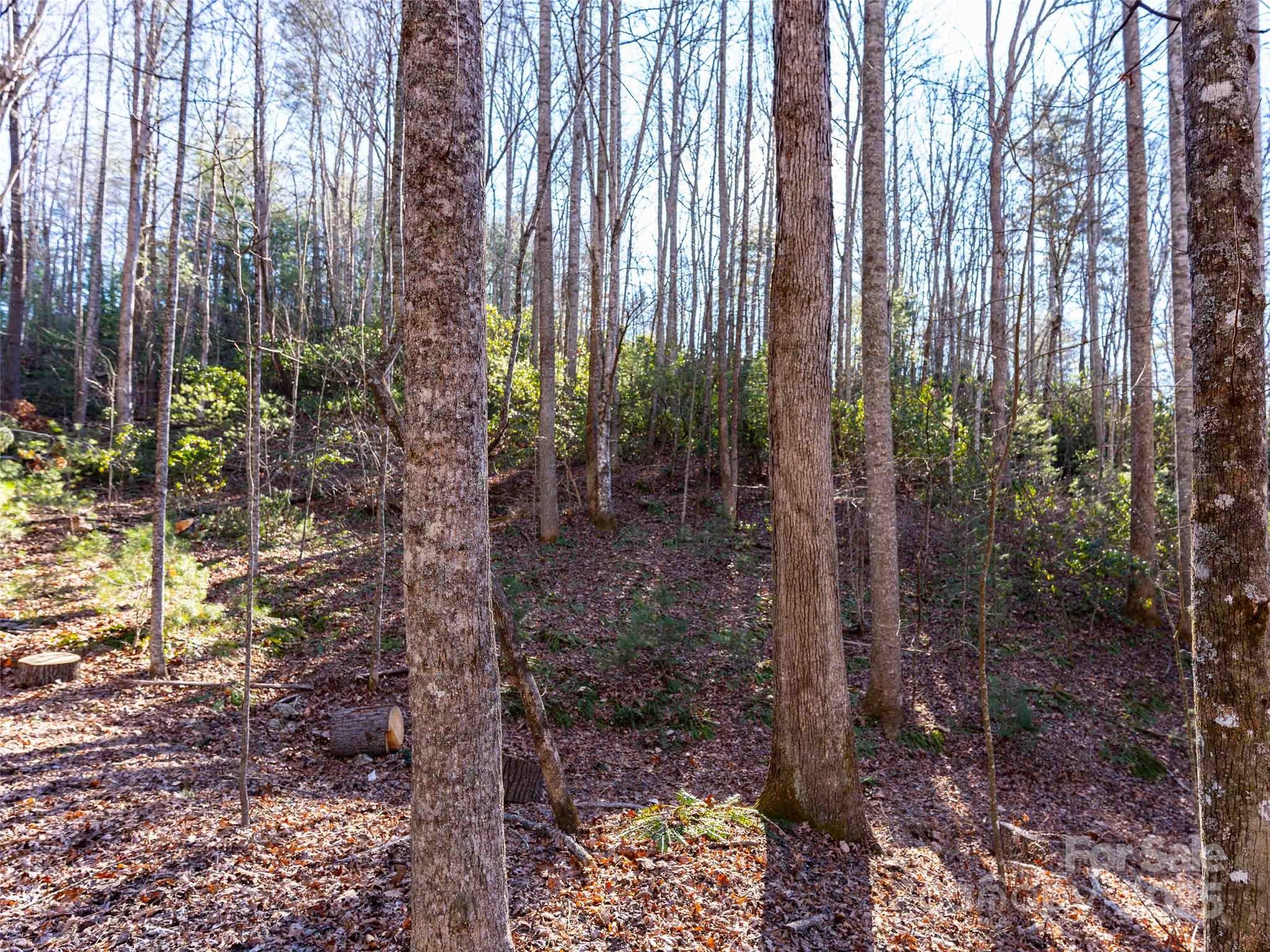 000 Chattooga Run 306 Property Photo 14