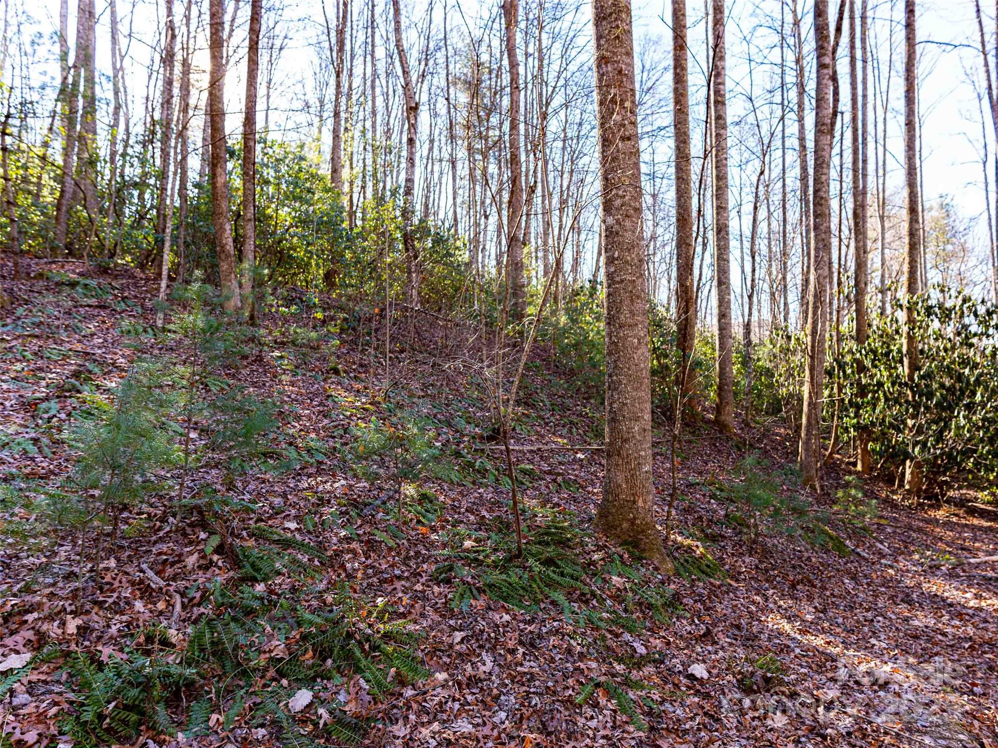 000 Chattooga Run 306 Property Photo 15