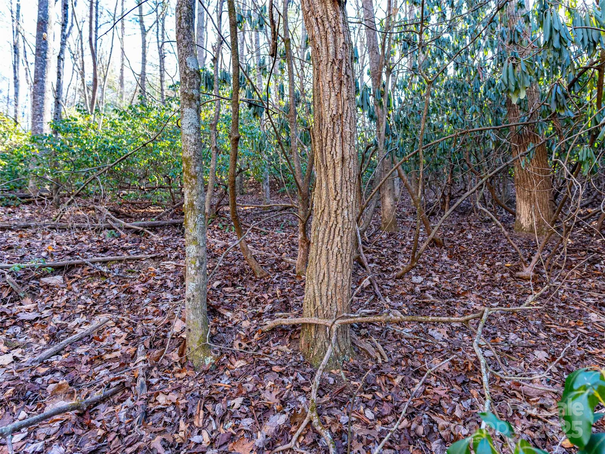 000 Chattooga Run 306 Property Photo 16