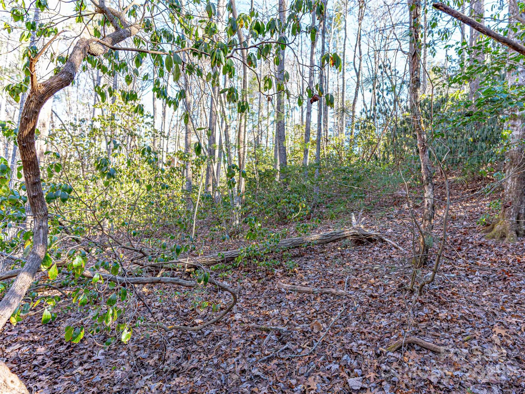 000 Chattooga Run 306 Property Photo 17