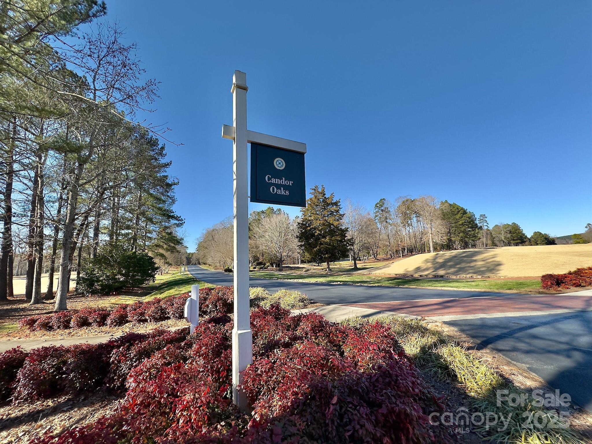 118 Candor Oaks Drive Property Photo