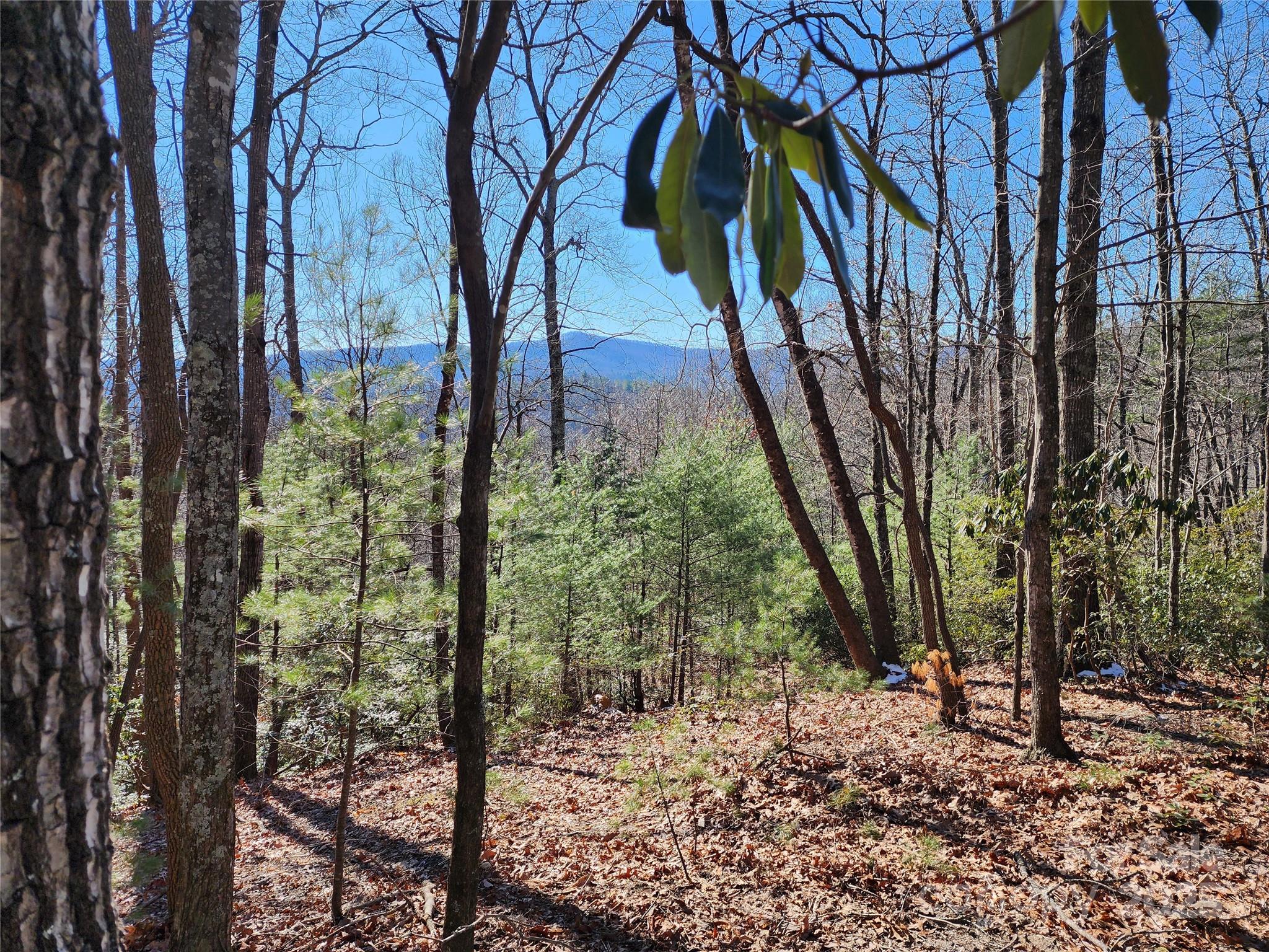 000 Mountain Vista Drive Property Photo
