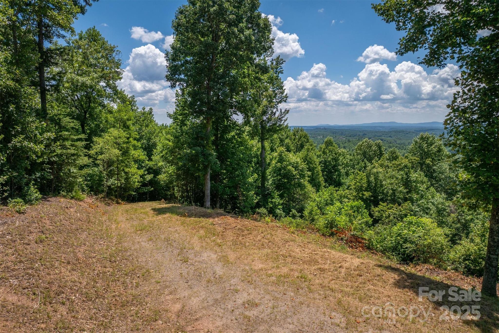 204de Johns Ridge Parkway 204de Property Photo 3