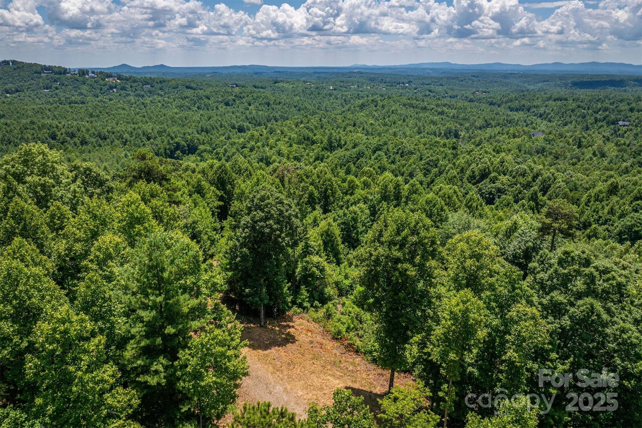 204de Johns Ridge Parkway 204de Property Photo 4
