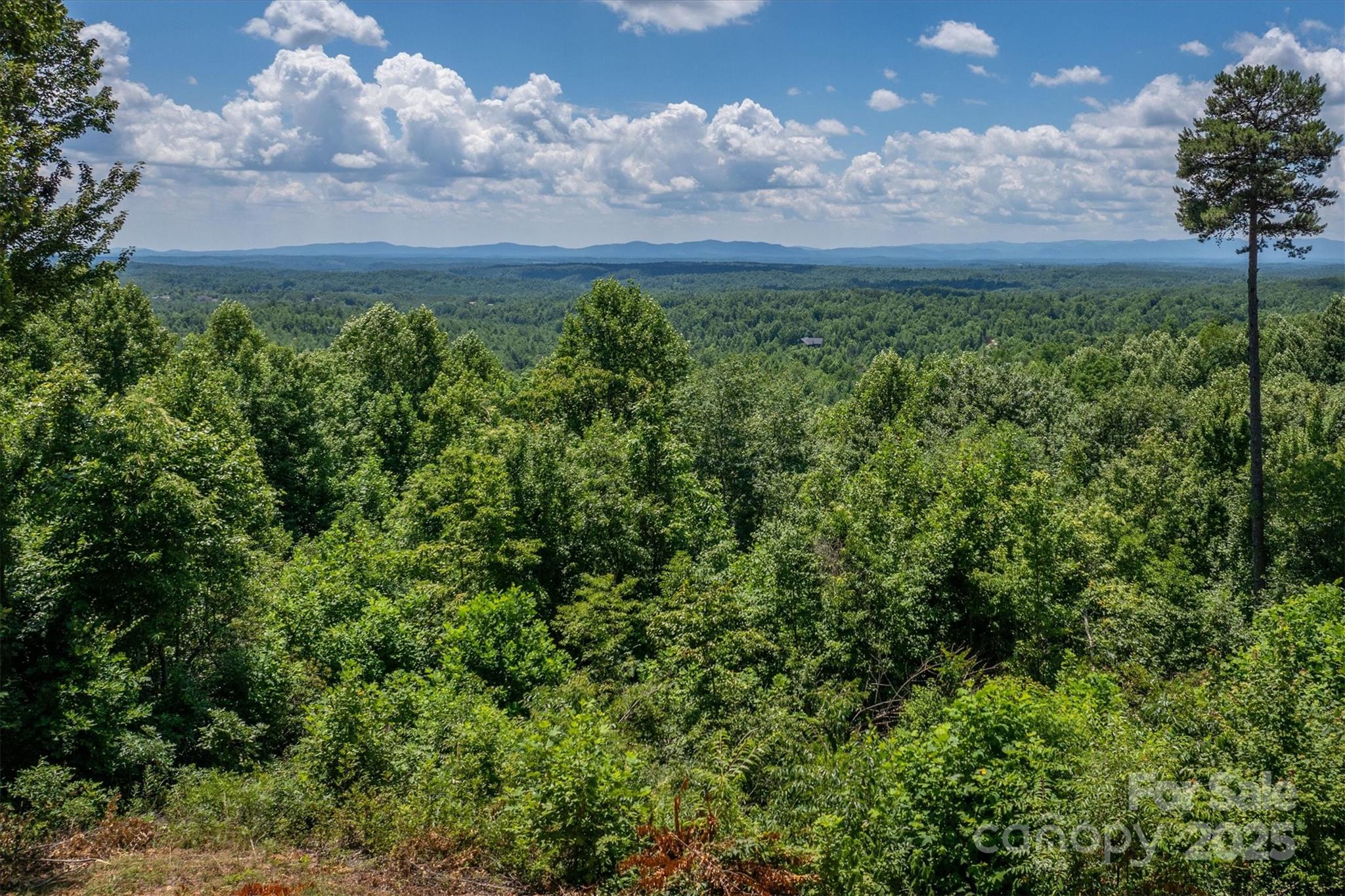 204de Johns Ridge Parkway 204de Property Photo 5