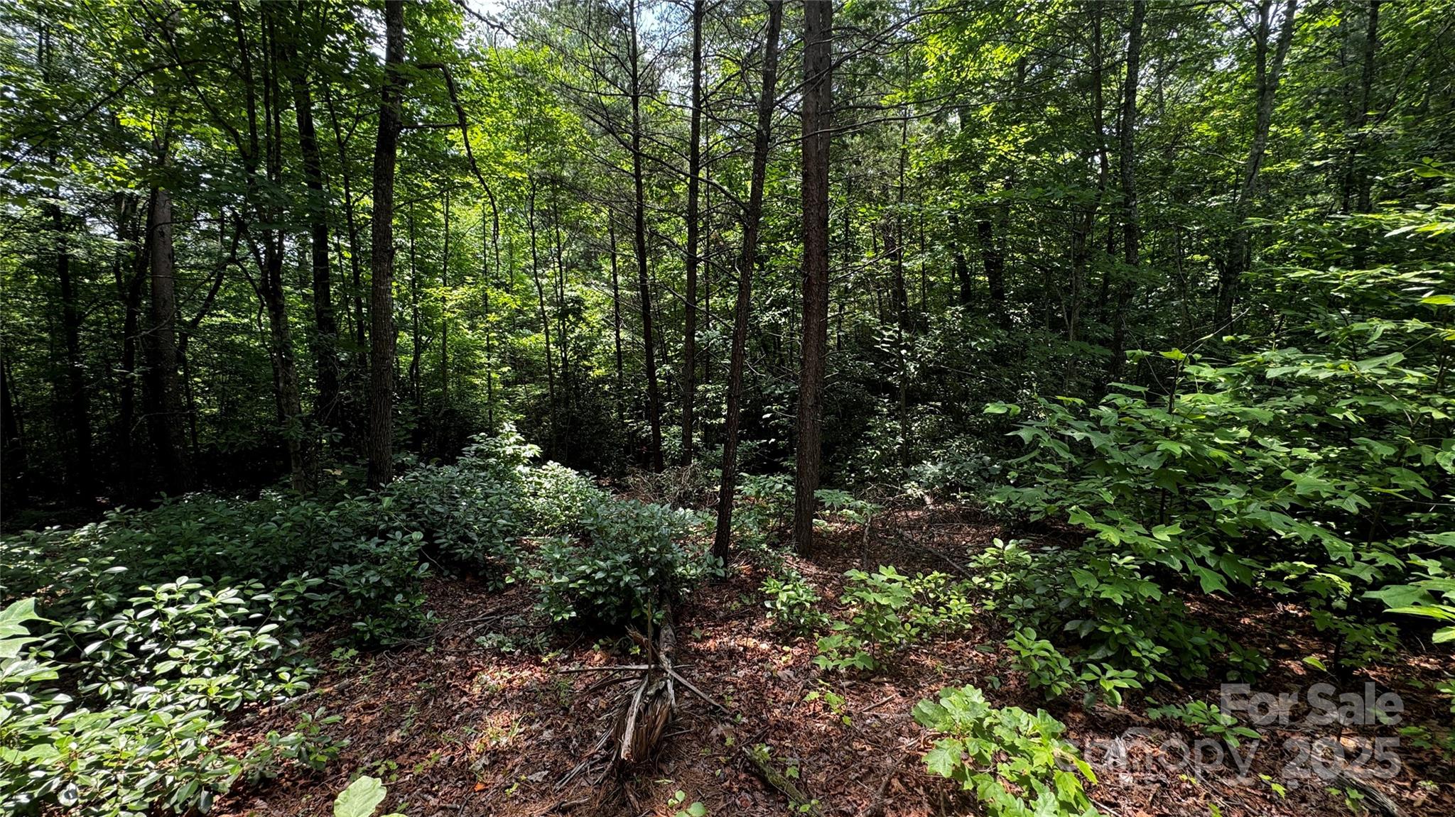 7 Walnut Ridge Drive 7 Property Photo 3