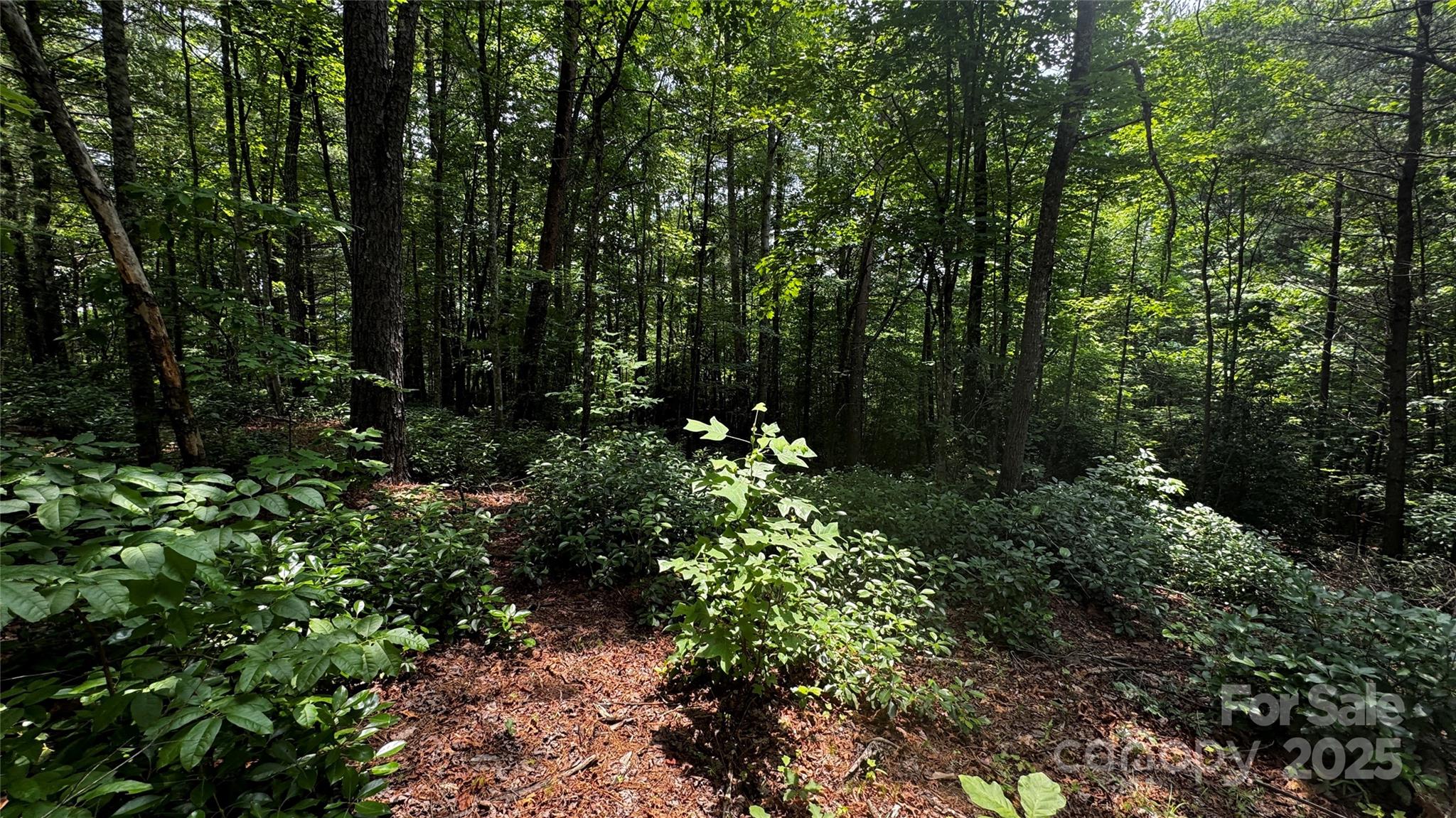 7 Walnut Ridge Drive 7 Property Photo 5