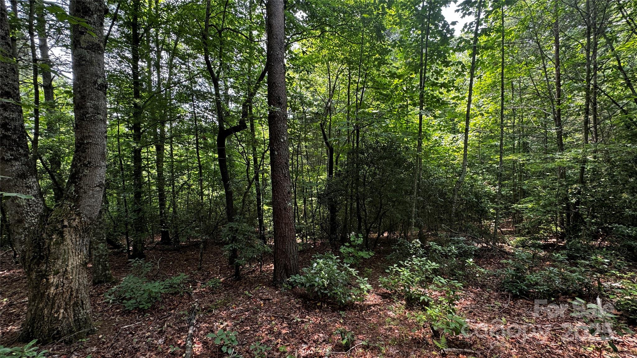 7 Walnut Ridge Drive 7 Property Photo 8