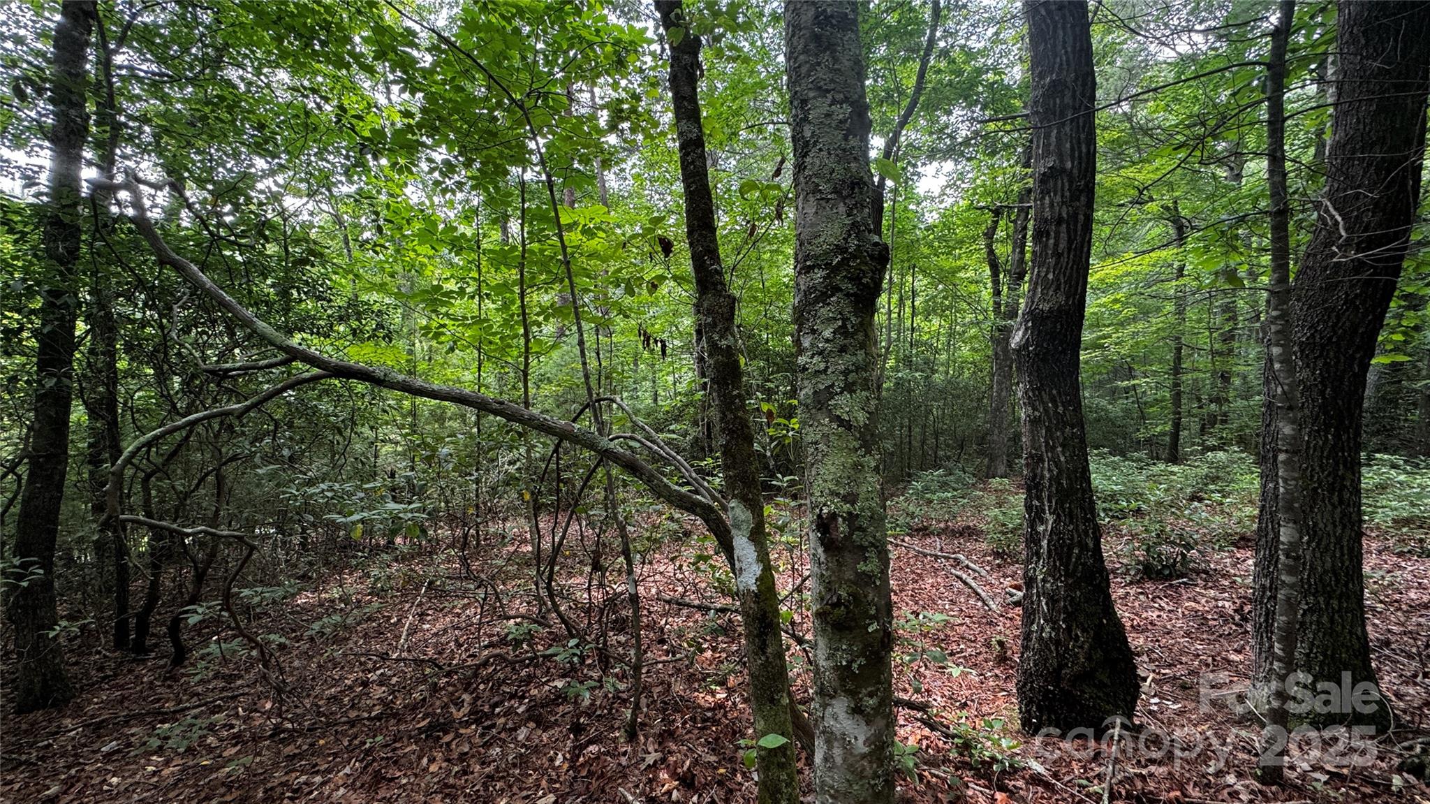 7 Walnut Ridge Drive 7 Property Photo 14