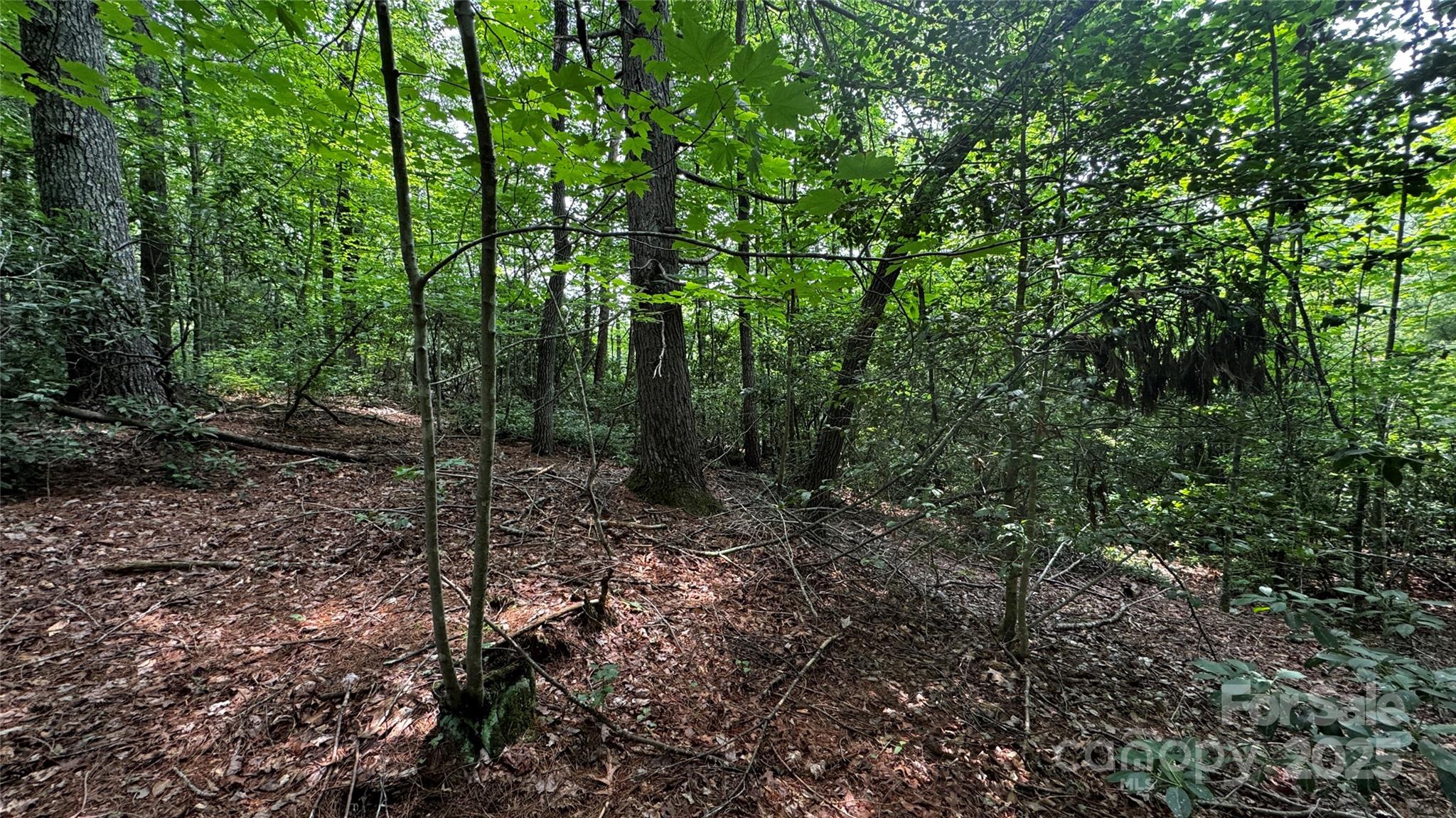 7 Walnut Ridge Drive 7 Property Photo 16