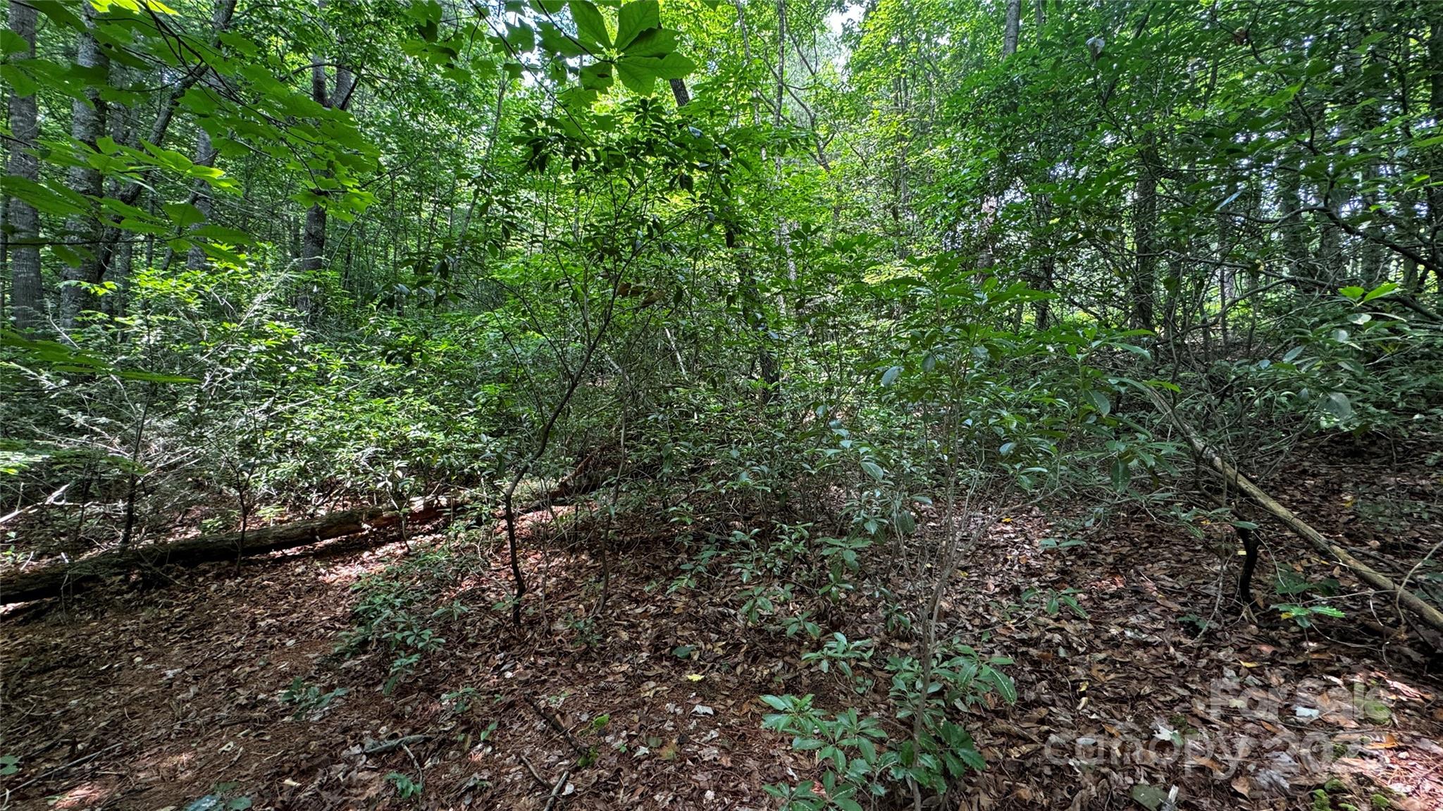 7 Walnut Ridge Drive 7 Property Photo 19