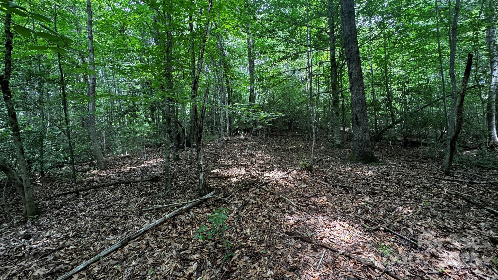 7 Walnut Ridge Drive 7 Property Photo 20