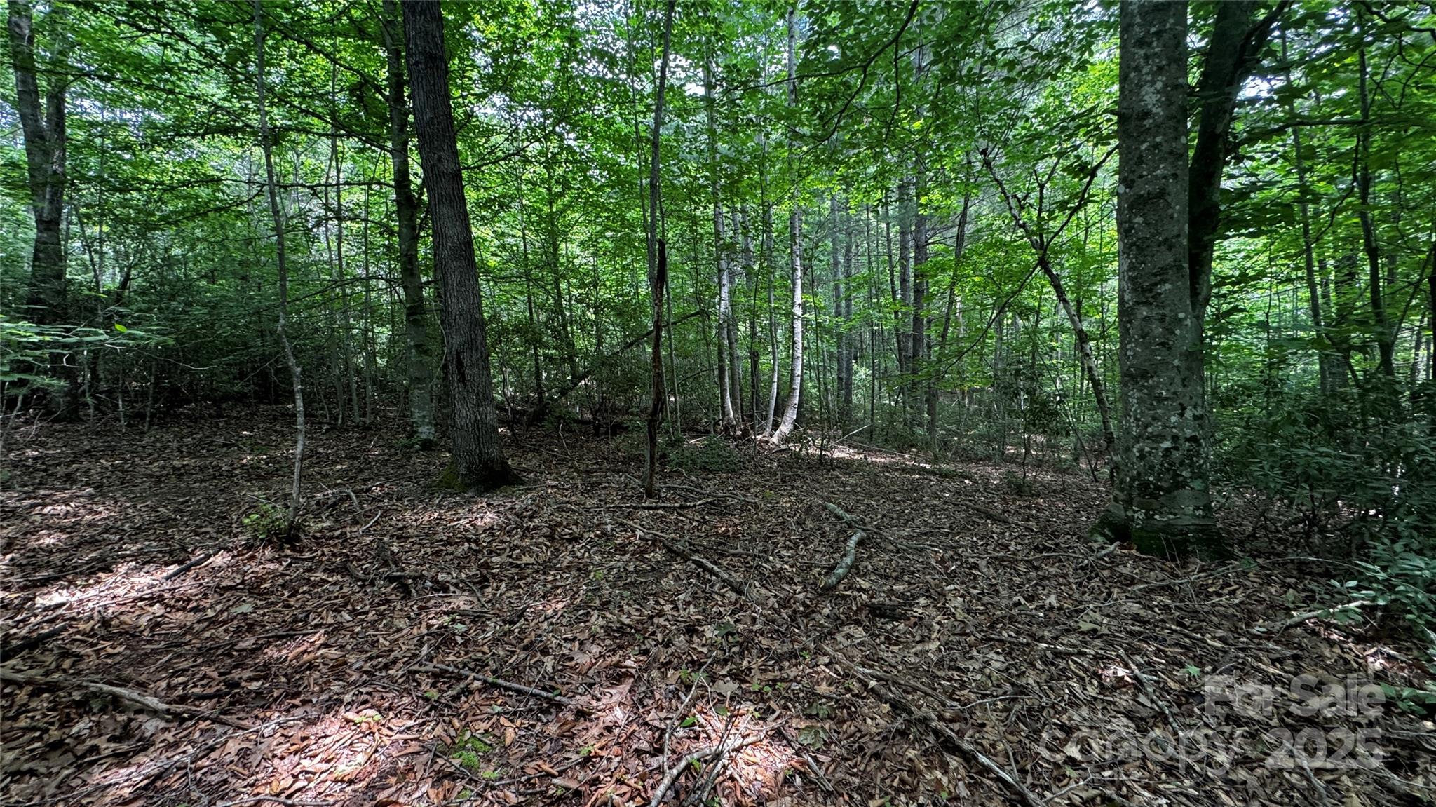 7 Walnut Ridge Drive 7 Property Photo 21