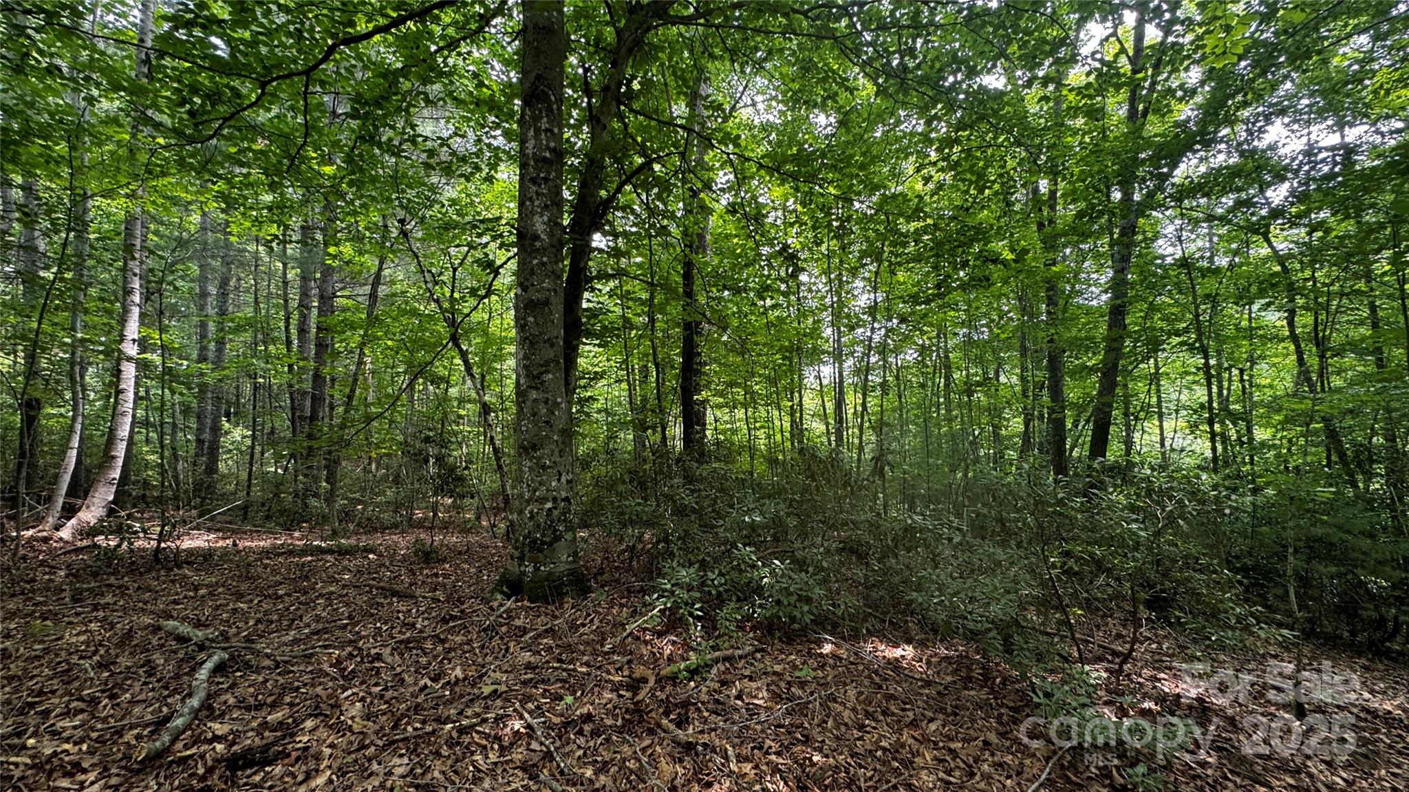 7 Walnut Ridge Drive 7 Property Photo 22