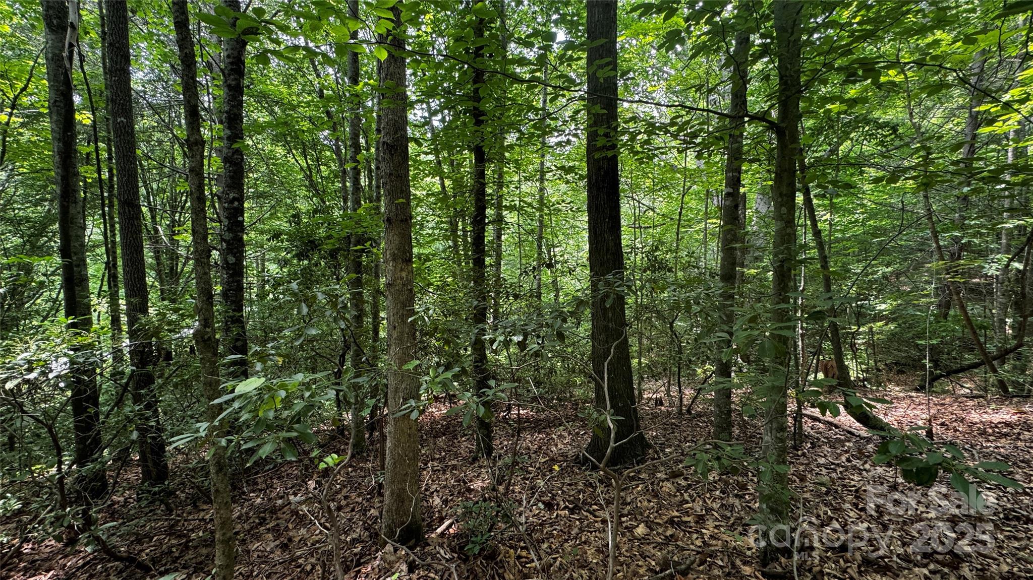 7 Walnut Ridge Drive 7 Property Photo 24