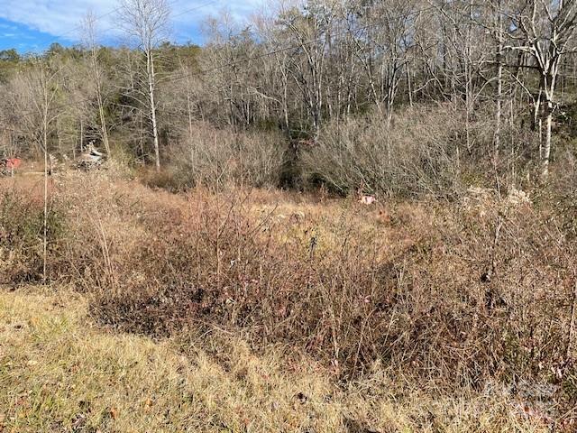 Off Mackey Creek Road Property Photo 4