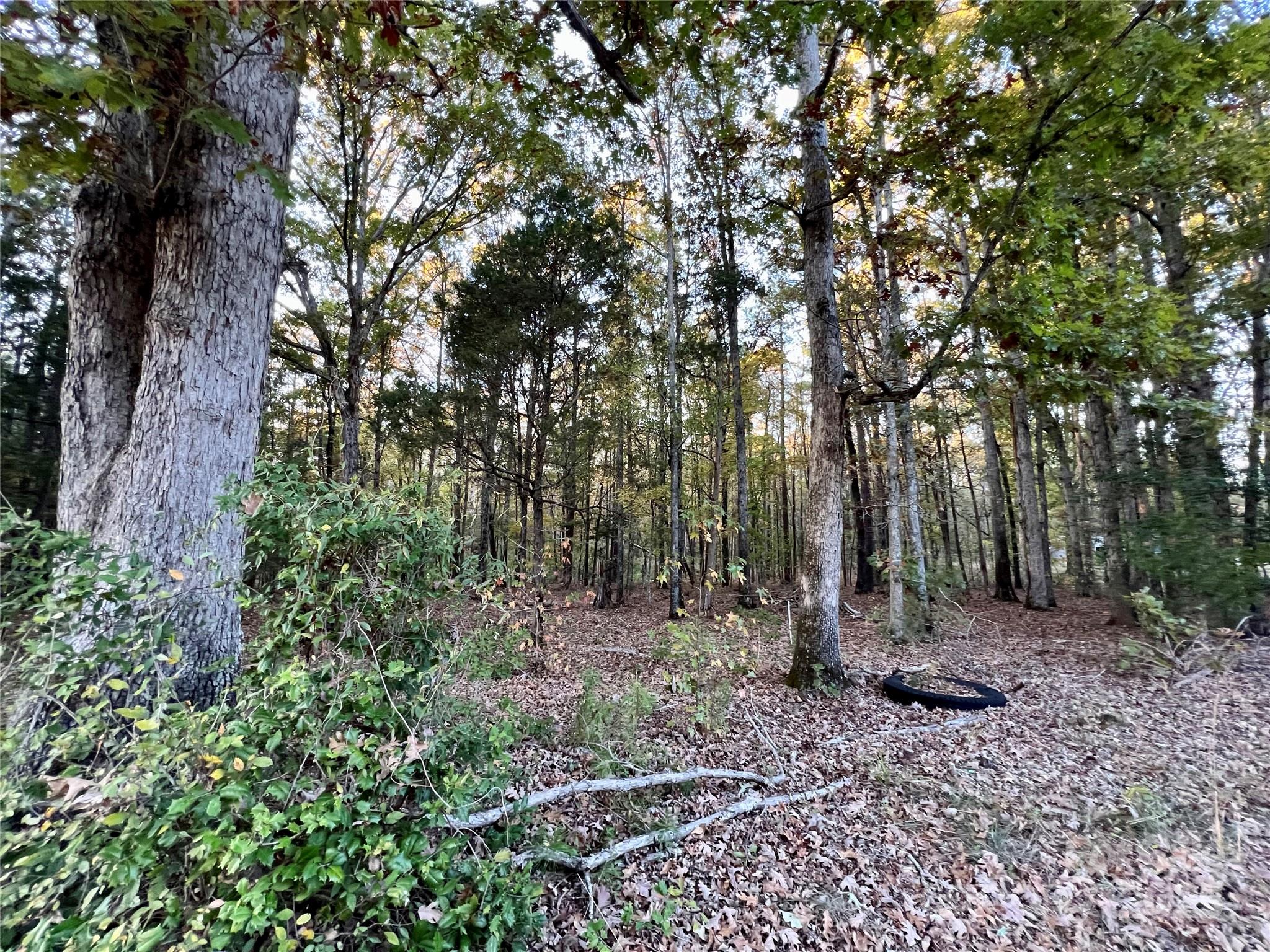 00 Charlotte Highway Property Photo 1