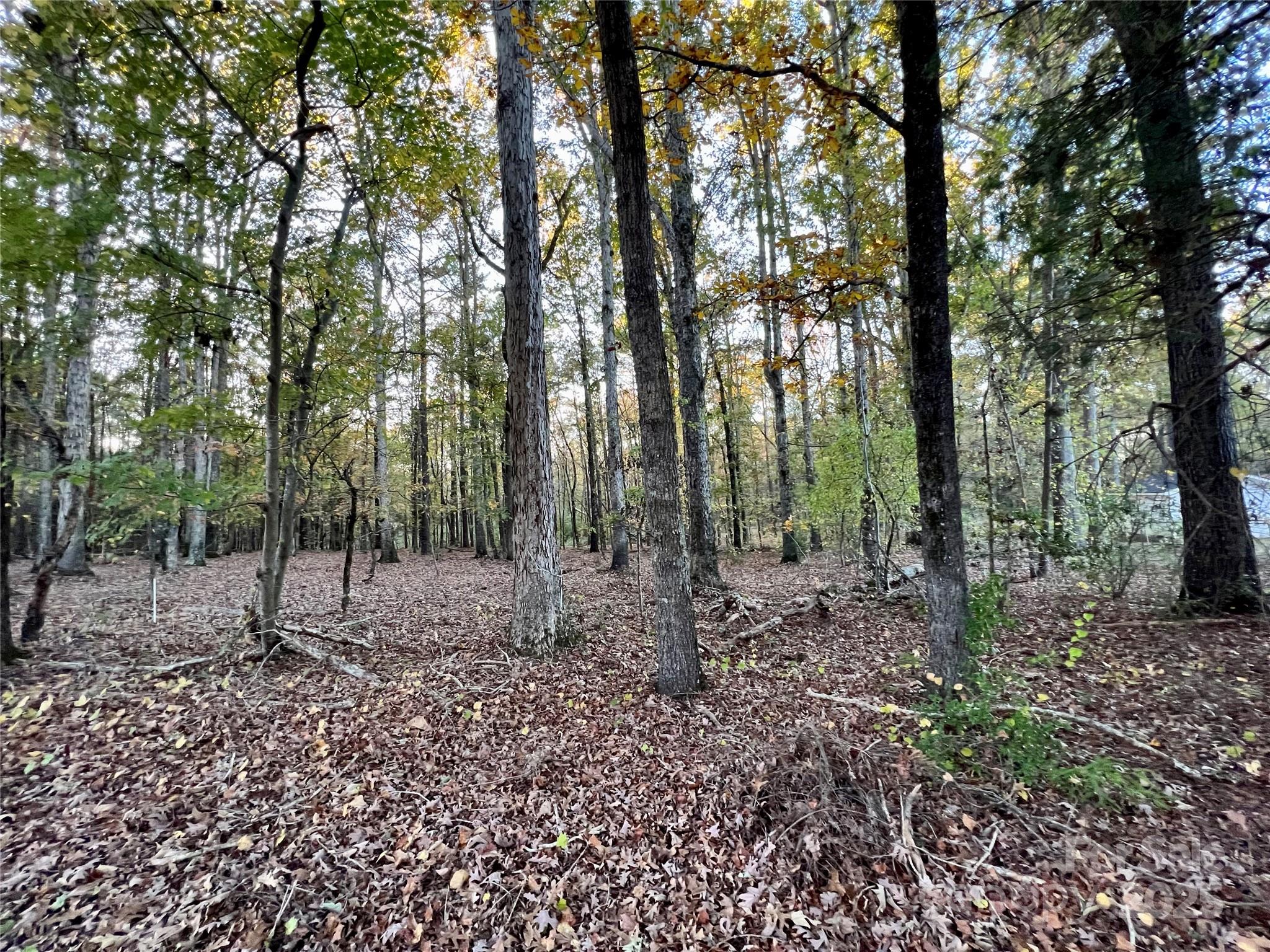 00 Charlotte Highway Property Photo 3