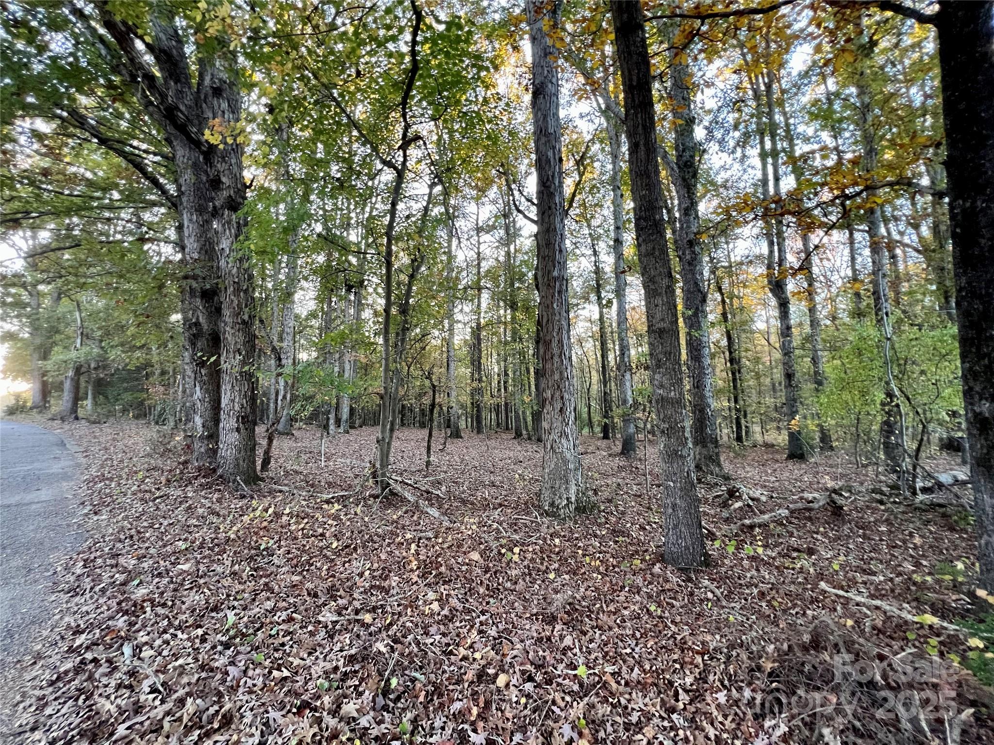 00 Charlotte Highway Property Photo 6