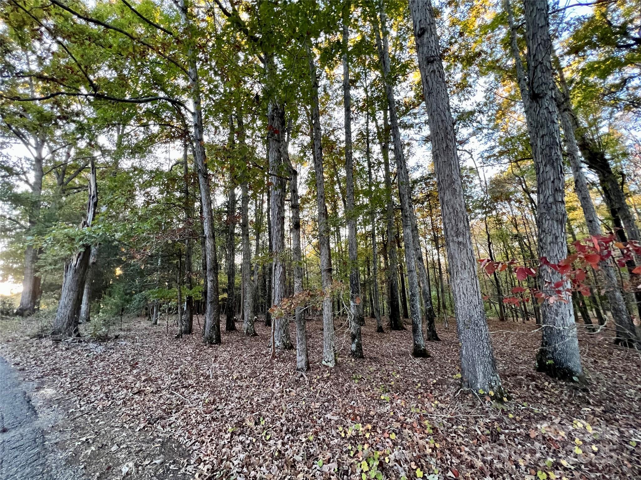 00 Charlotte Highway Property Photo 7