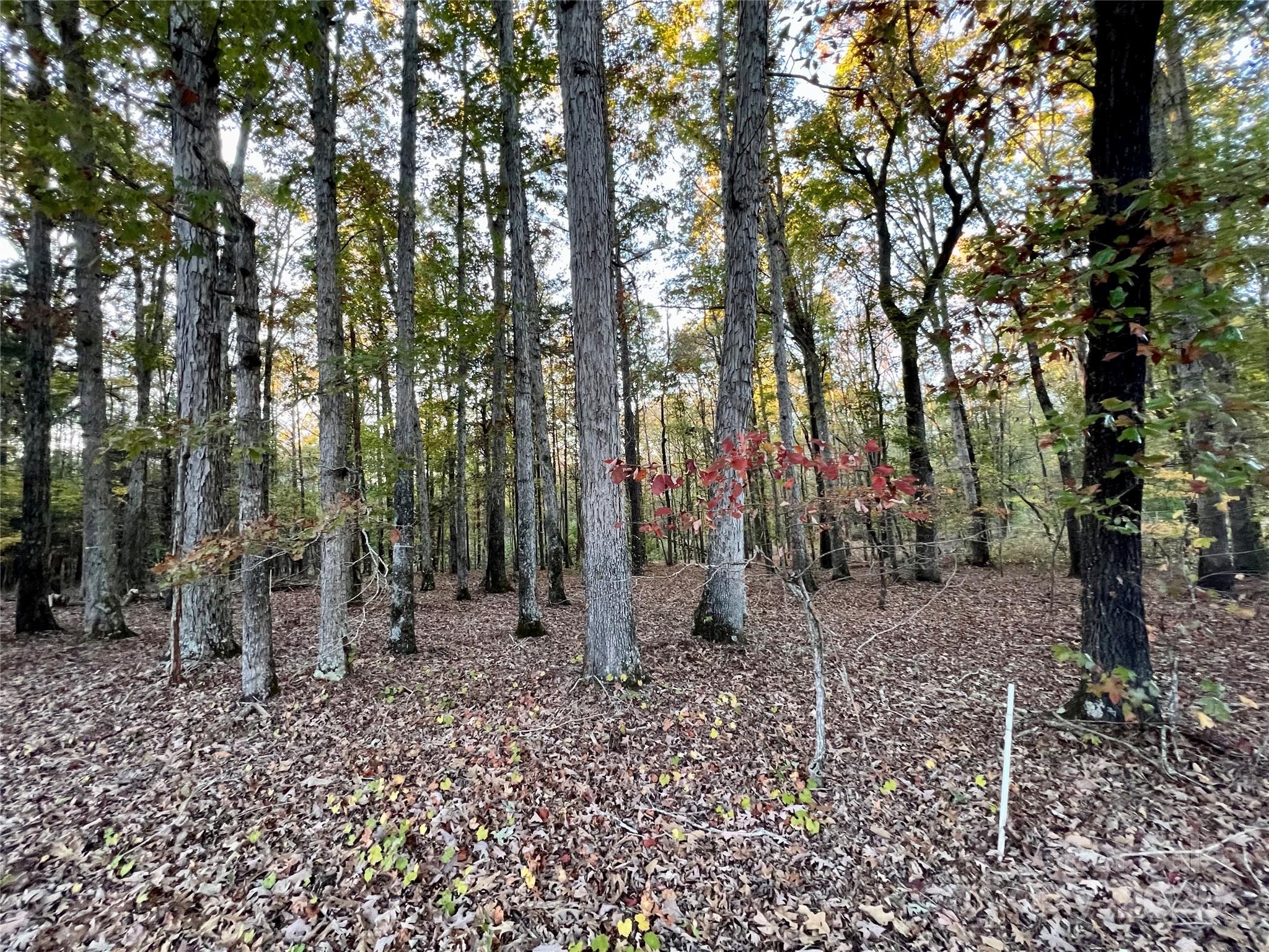 00 Charlotte Highway Property Photo 8