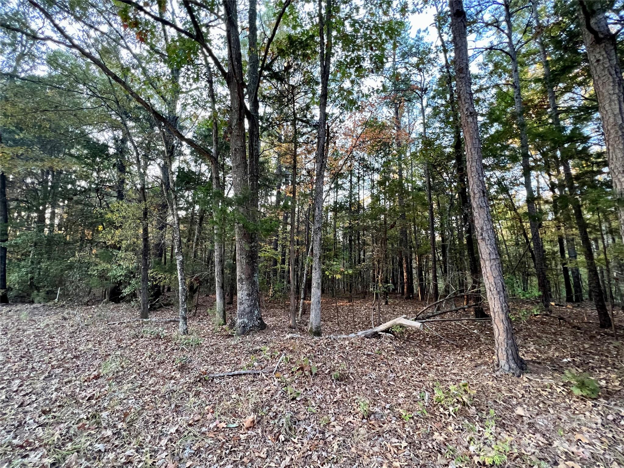 00 Charlotte Highway Property Photo 12