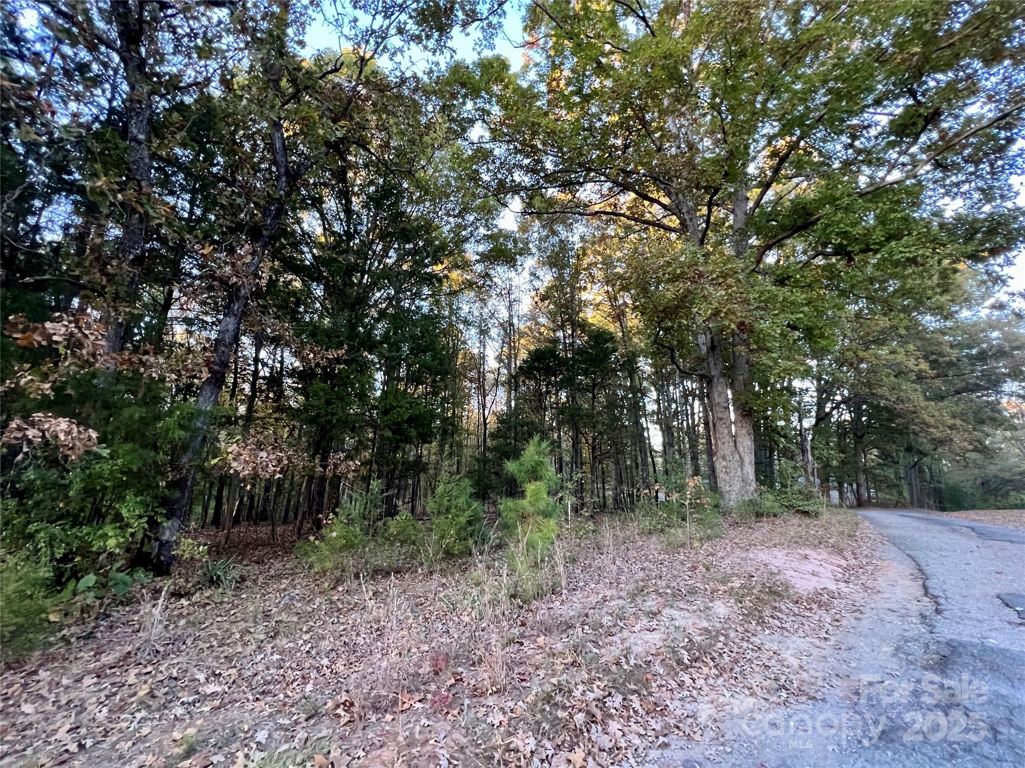 00 Charlotte Highway Property Photo 14
