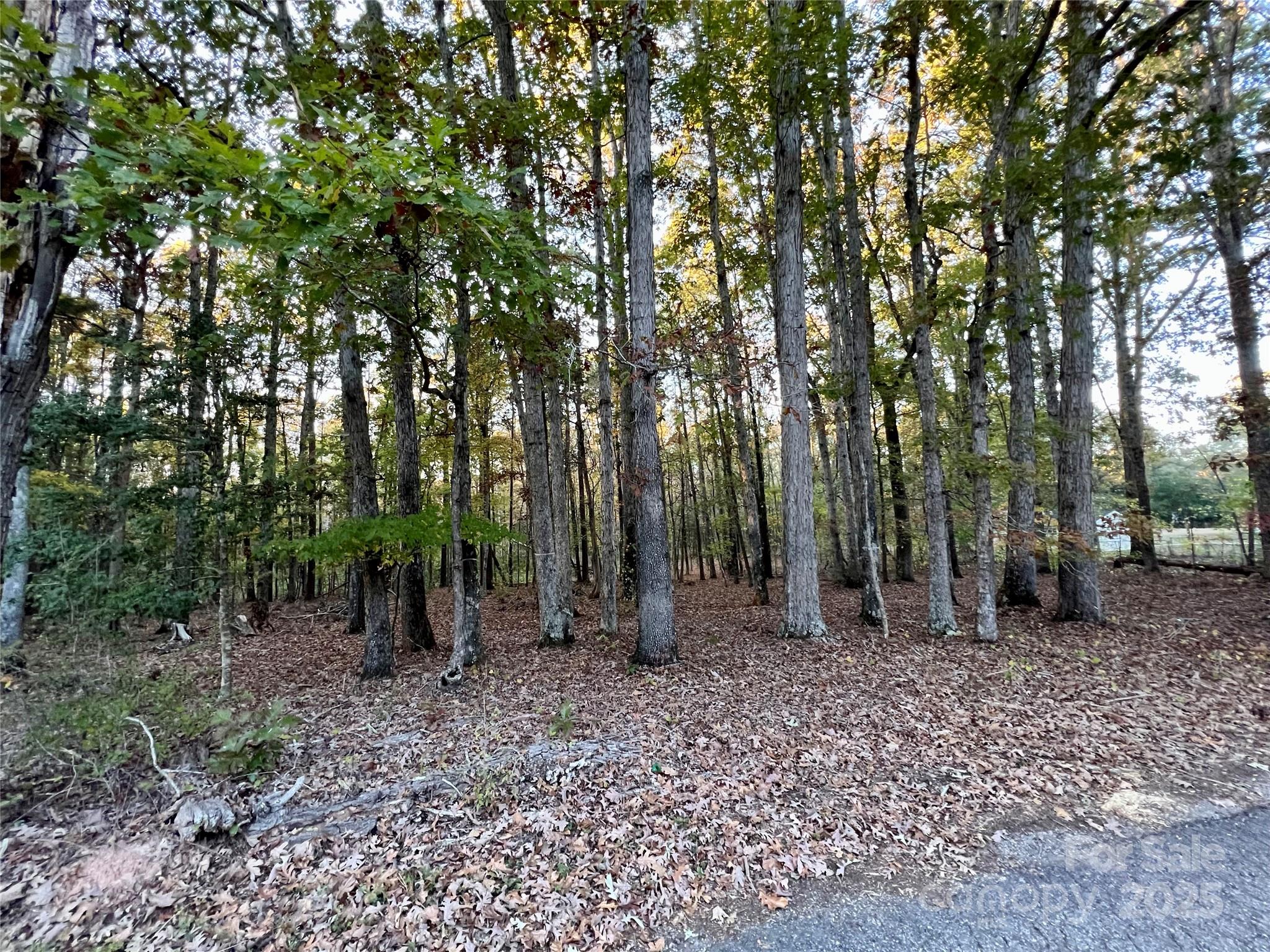 00 Charlotte Highway Property Photo 15