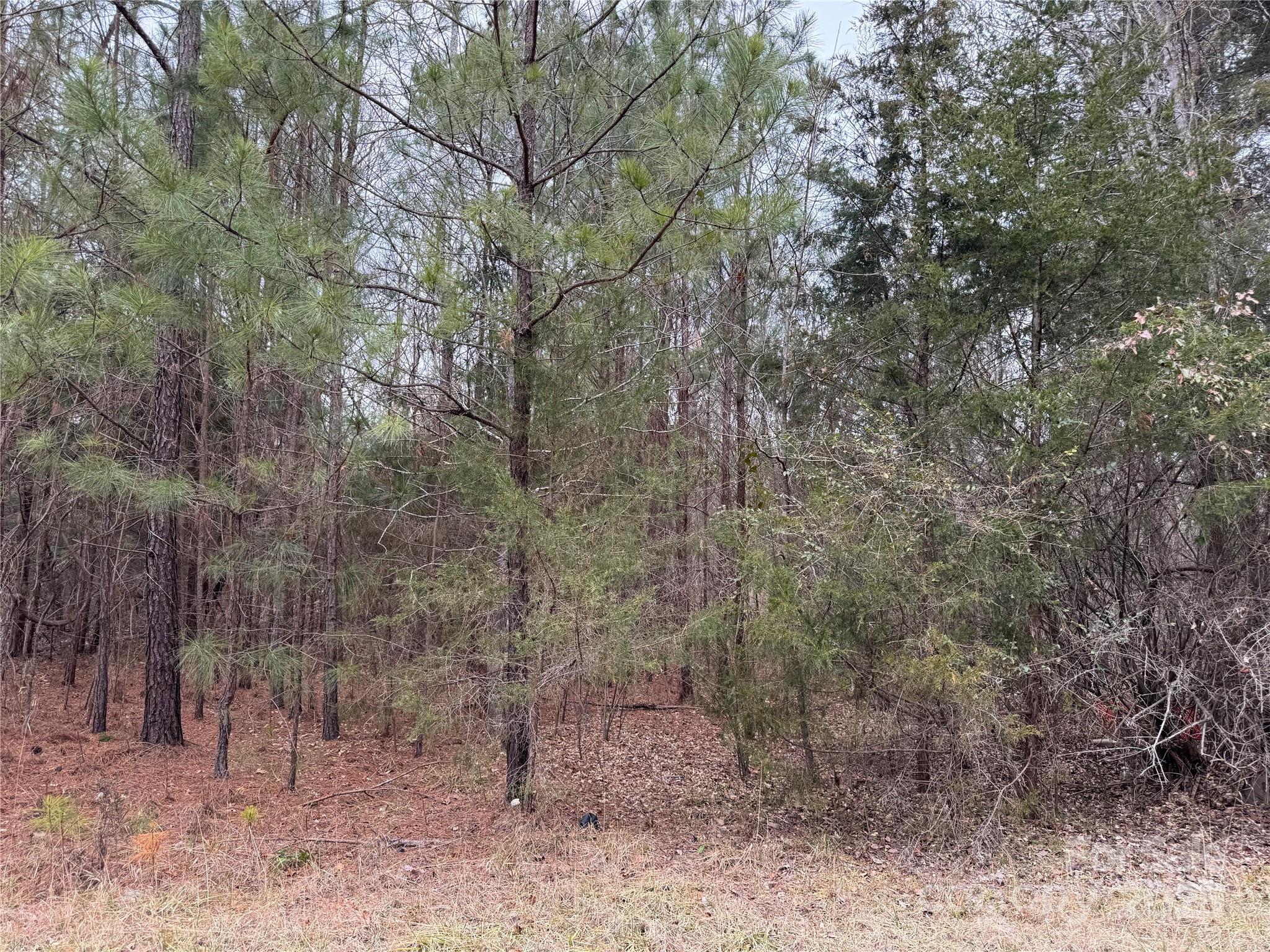 Lot 54 Joe Louis Boulevard Property Photo
