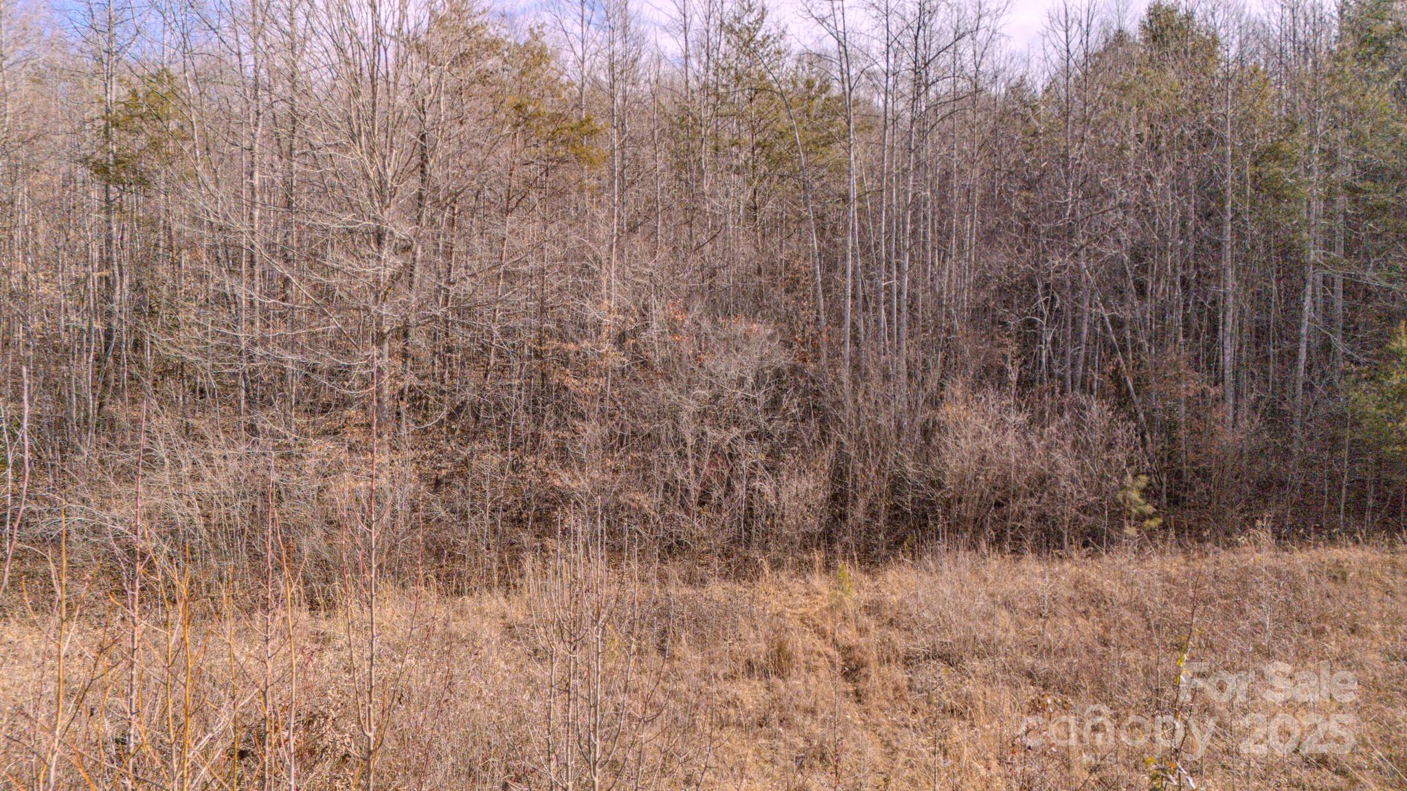4906 Old Hickory Tree Road Property Photo 3