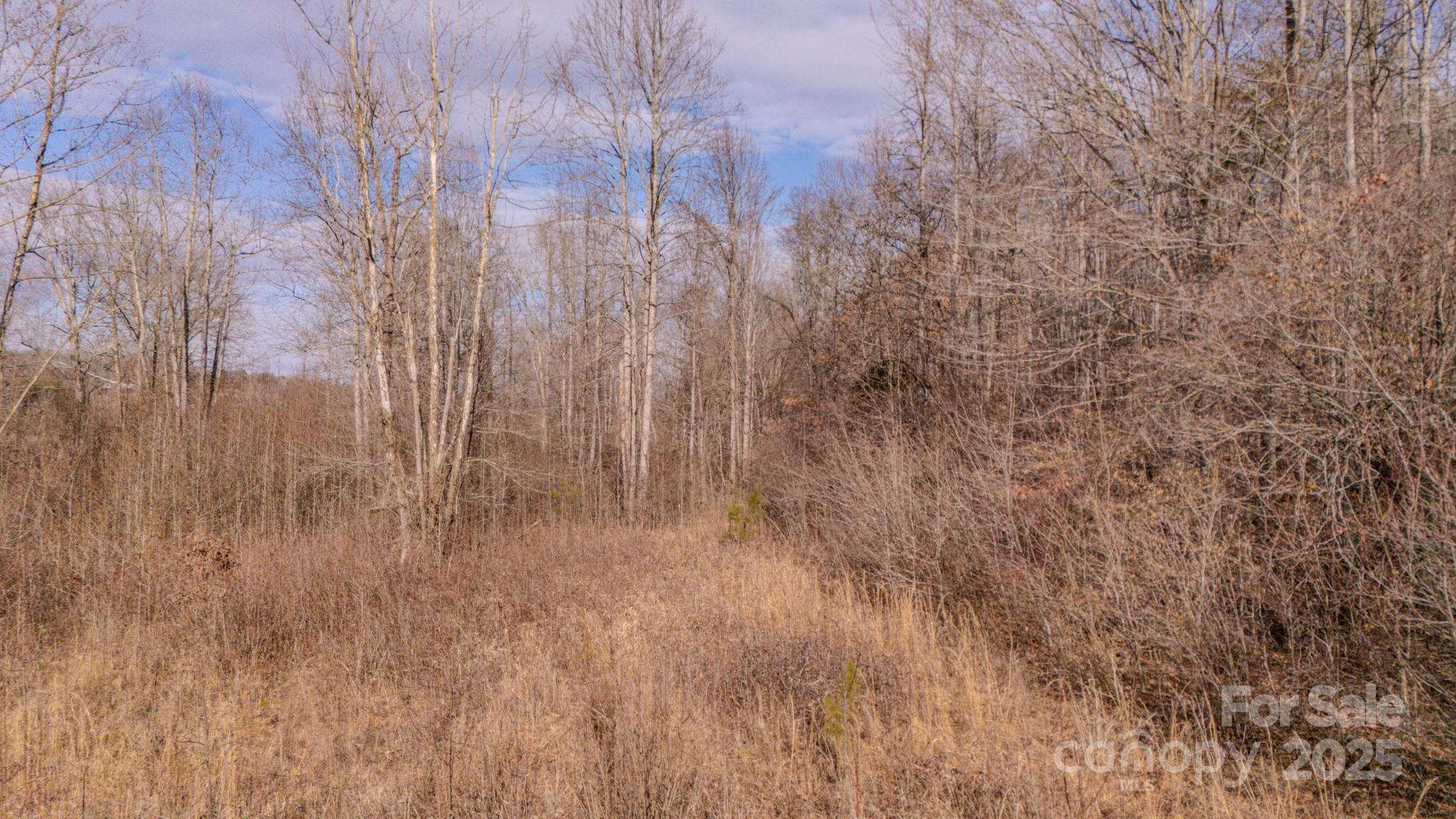 4906 Old Hickory Tree Road Property Photo 4