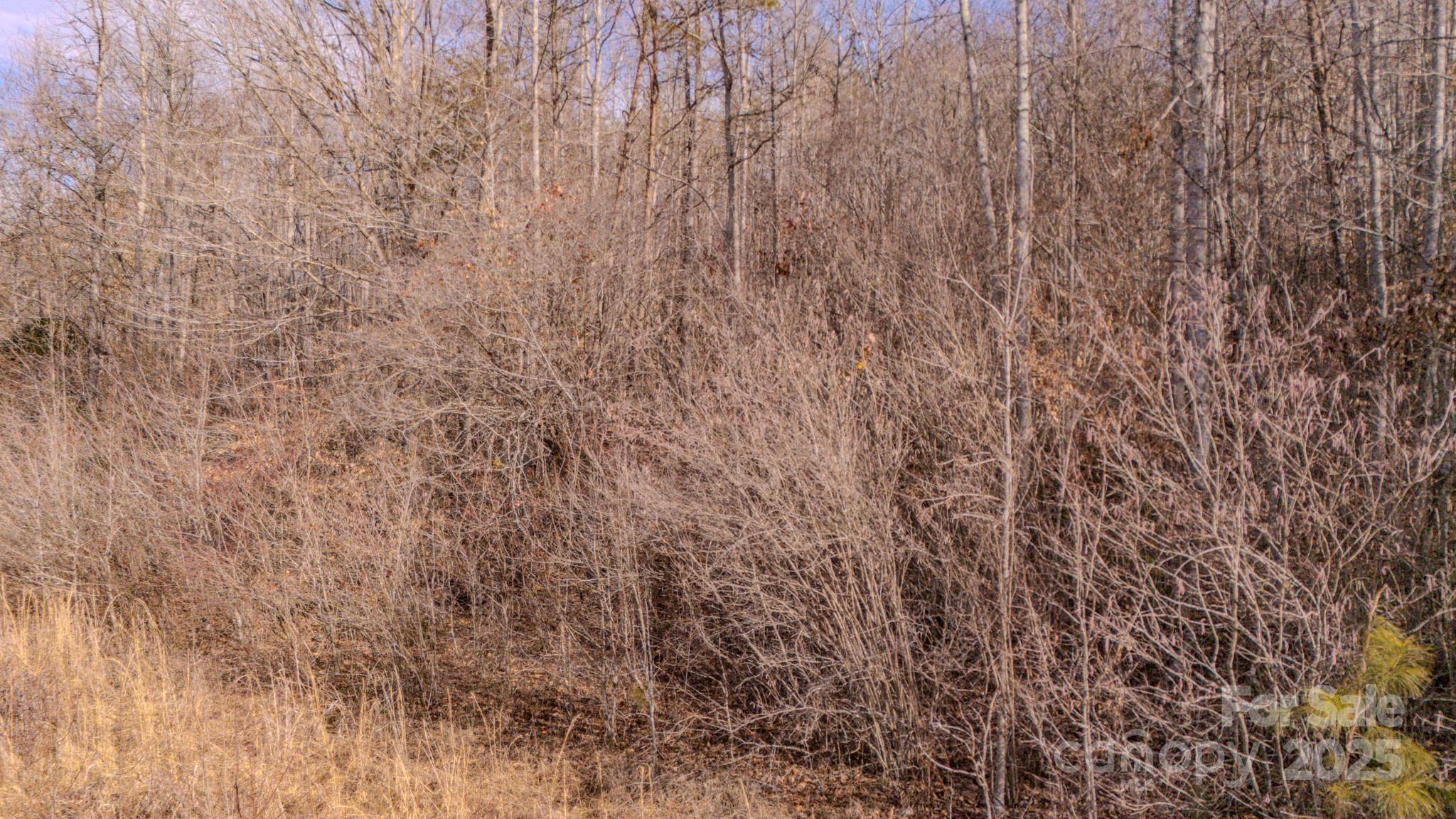4906 Old Hickory Tree Road Property Photo 5
