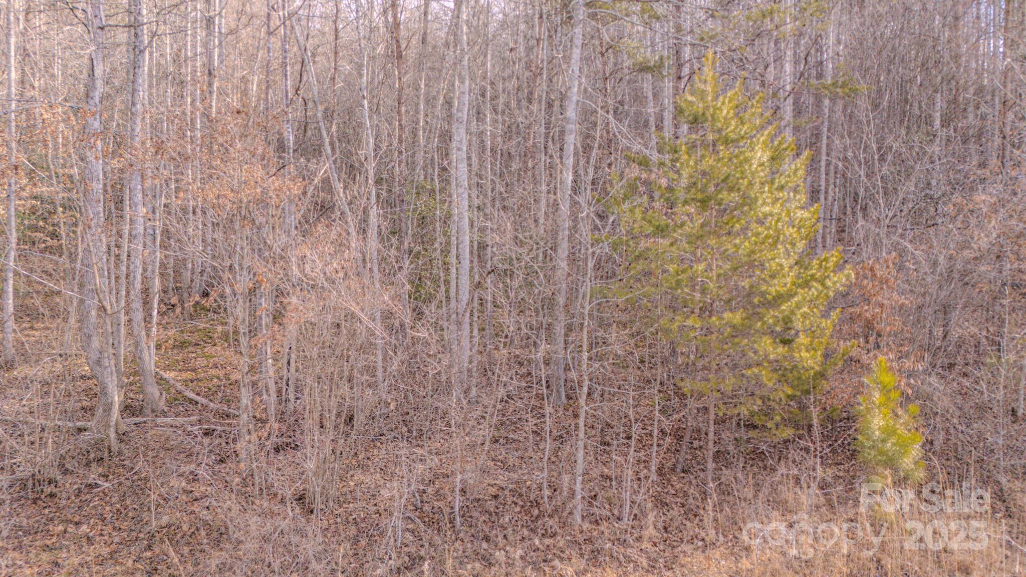 4906 Old Hickory Tree Road Property Photo 6
