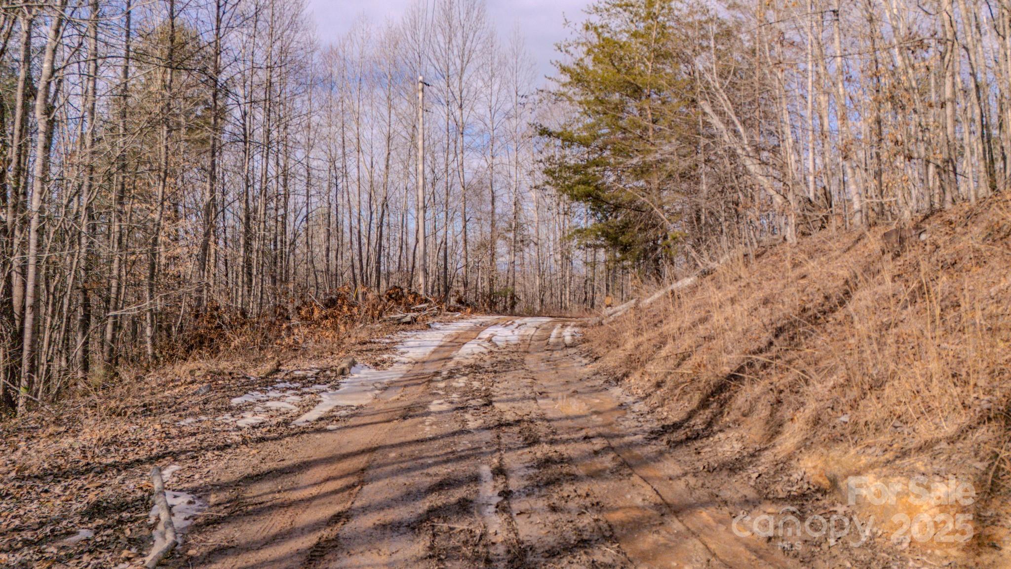 4906 Old Hickory Tree Road Property Photo 7
