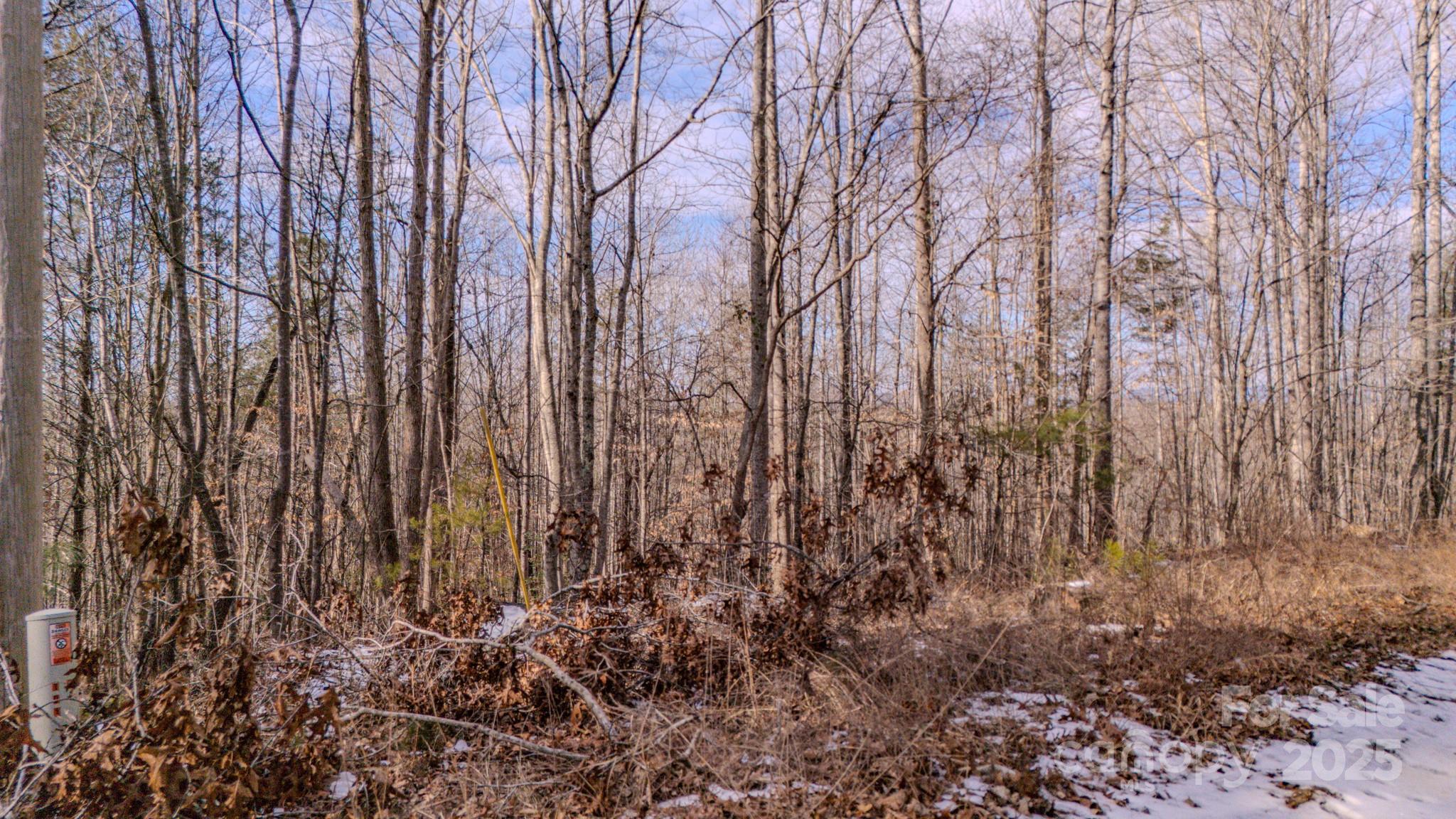4906 Old Hickory Tree Road Property Photo 8