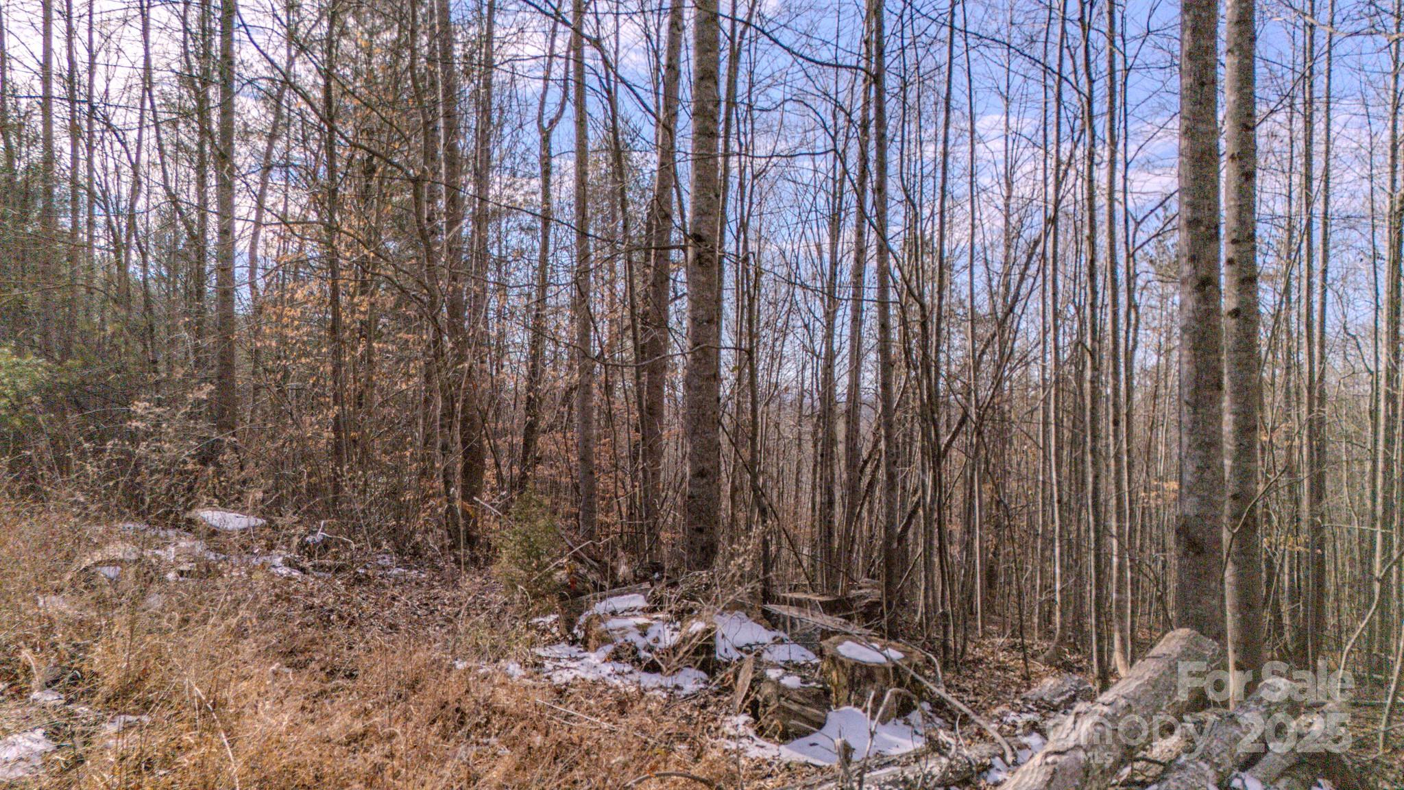 4906 Old Hickory Tree Road Property Photo 10