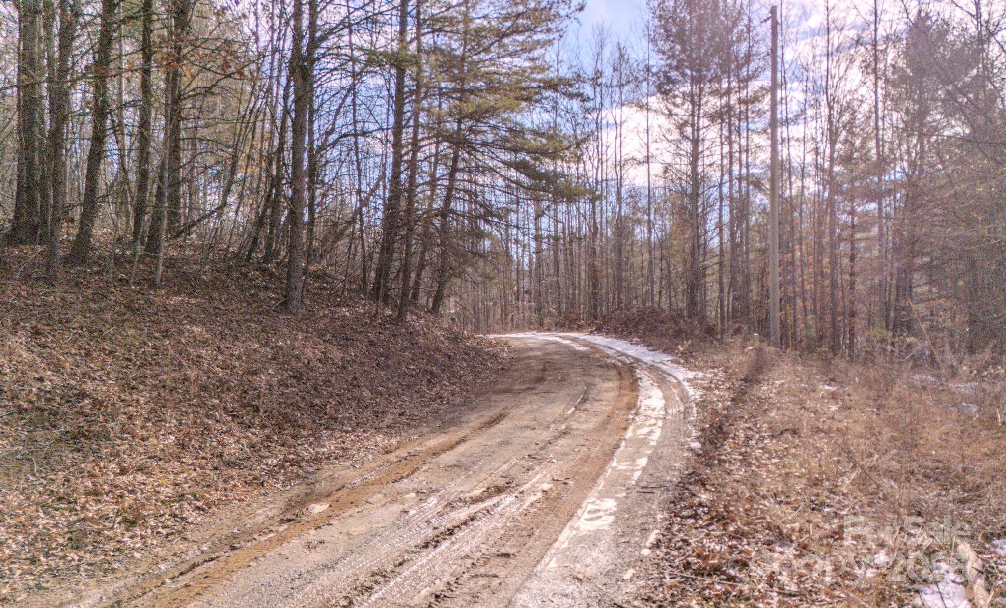 4906 Old Hickory Tree Road Property Photo 11
