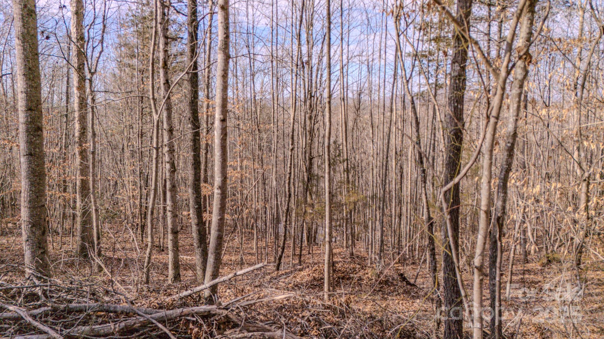4906 Old Hickory Tree Road Property Photo 12