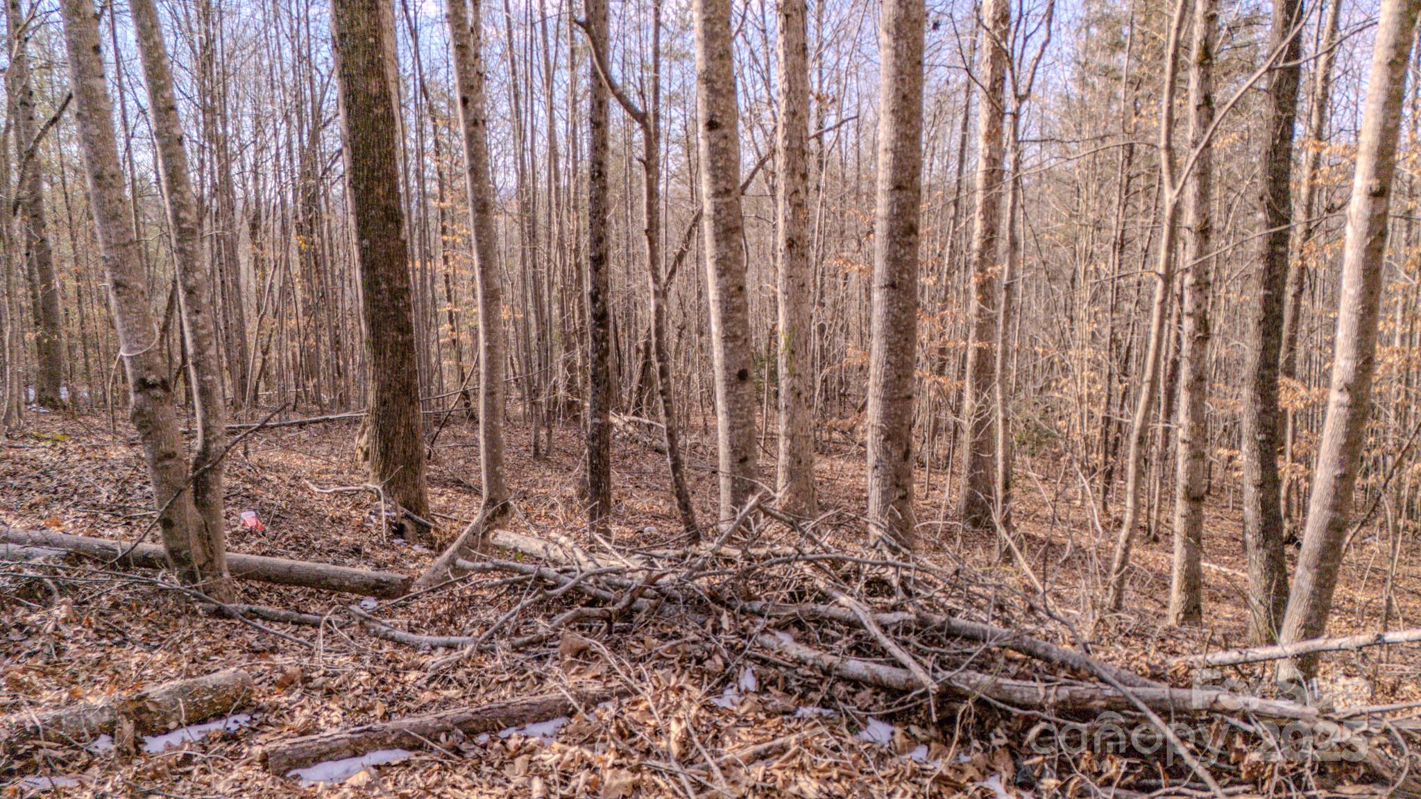 4906 Old Hickory Tree Road Property Photo 13