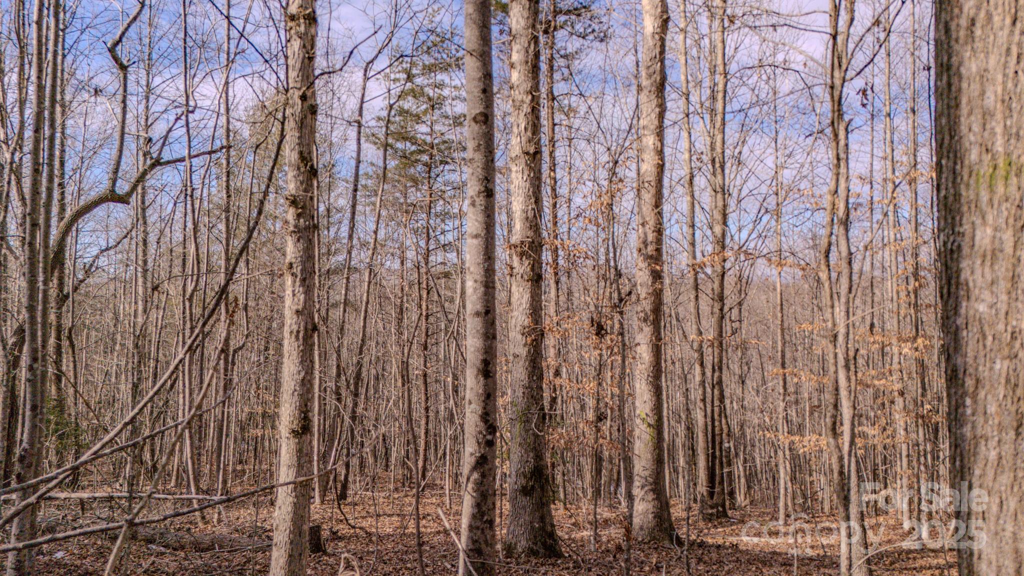 4906 Old Hickory Tree Road Property Photo 16