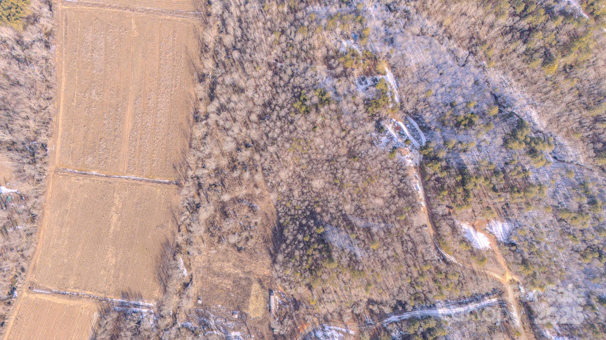 4906 Old Hickory Tree Road Property Photo 17