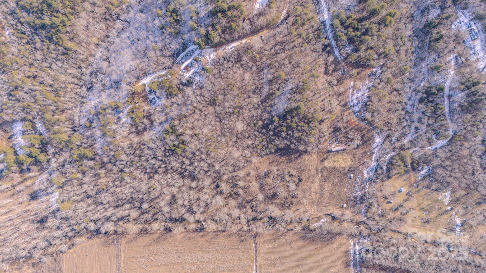 4906 Old Hickory Tree Road Property Photo 18
