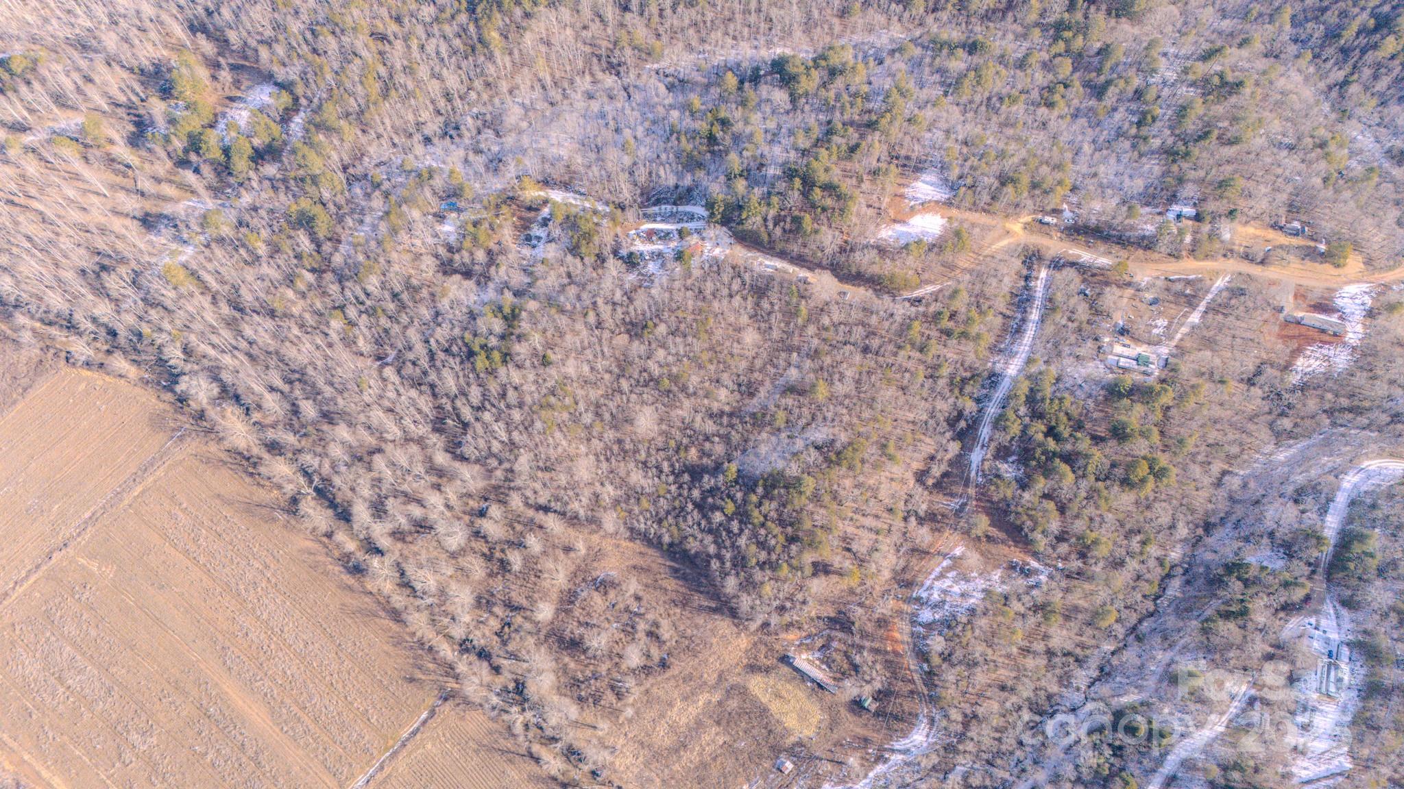 4906 Old Hickory Tree Road Property Photo 19