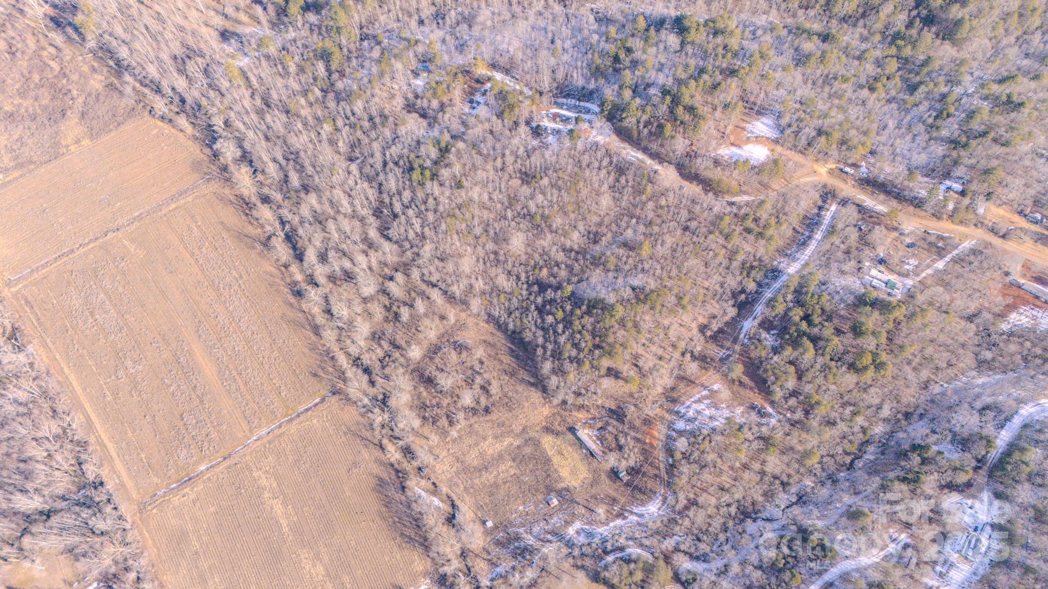 4906 Old Hickory Tree Road Property Photo 20