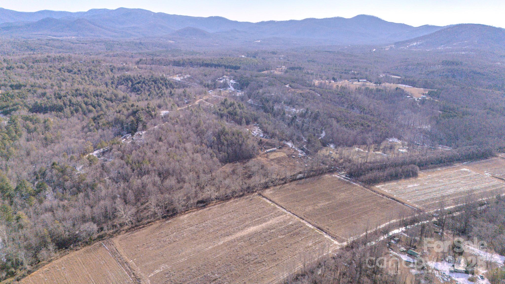 4906 Old Hickory Tree Road Property Photo 43