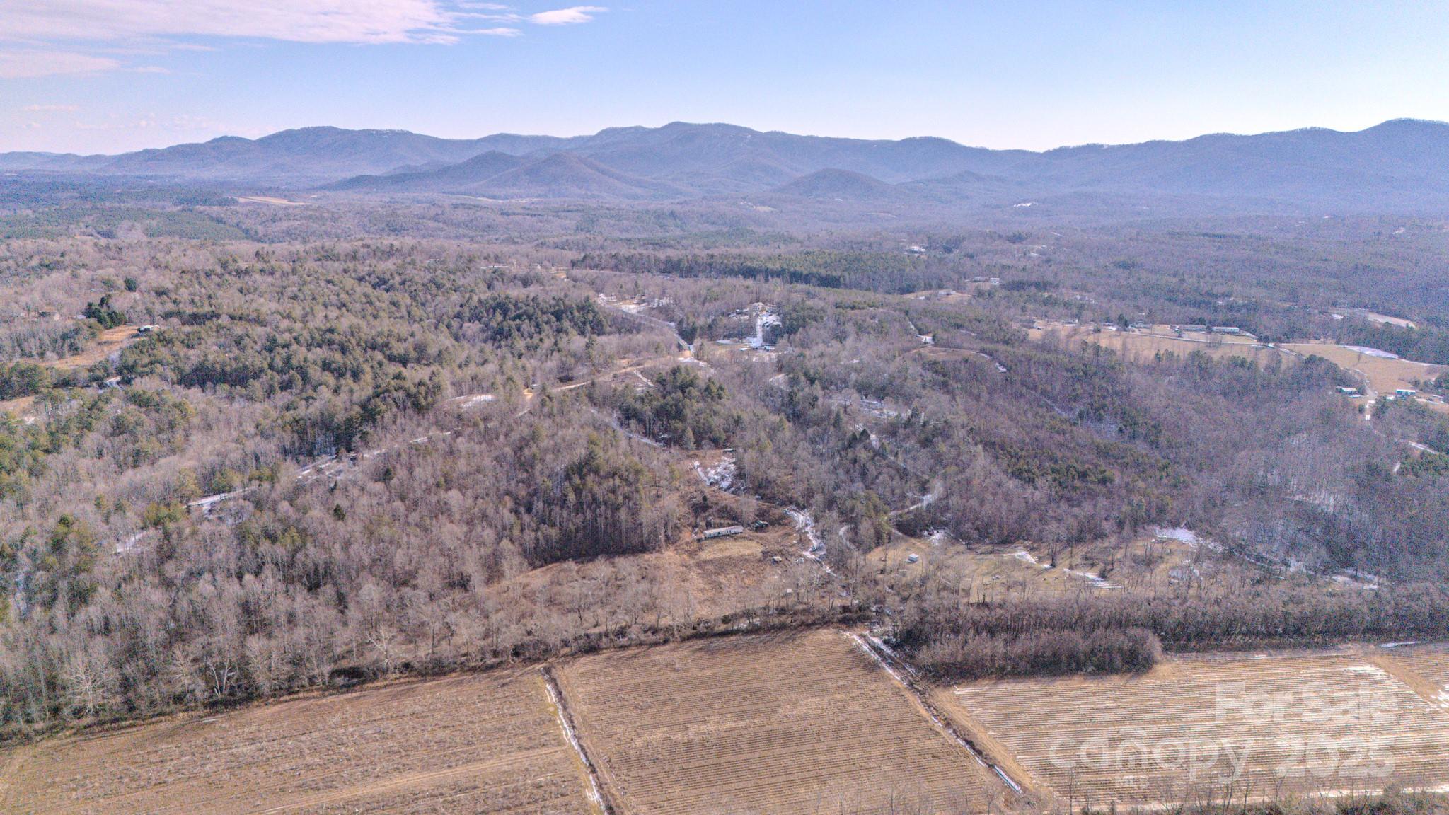 4906 Old Hickory Tree Road Property Photo 44
