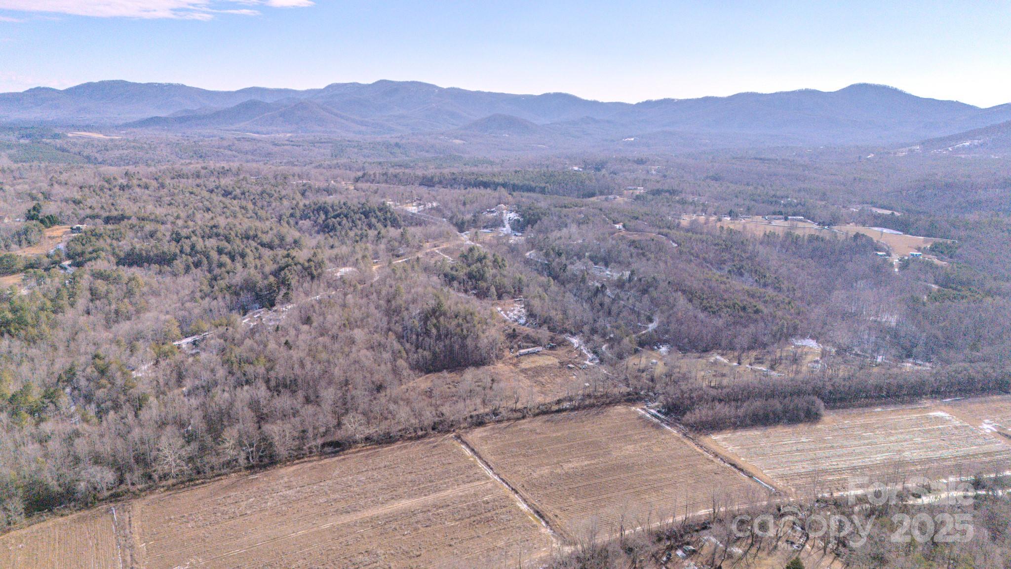 4906 Old Hickory Tree Road Property Photo 45