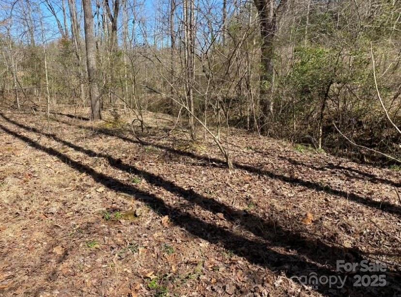 352 Walnut Grove Drive Property Photo 2