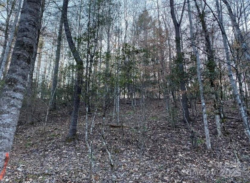 352 Walnut Grove Drive Property Photo 5